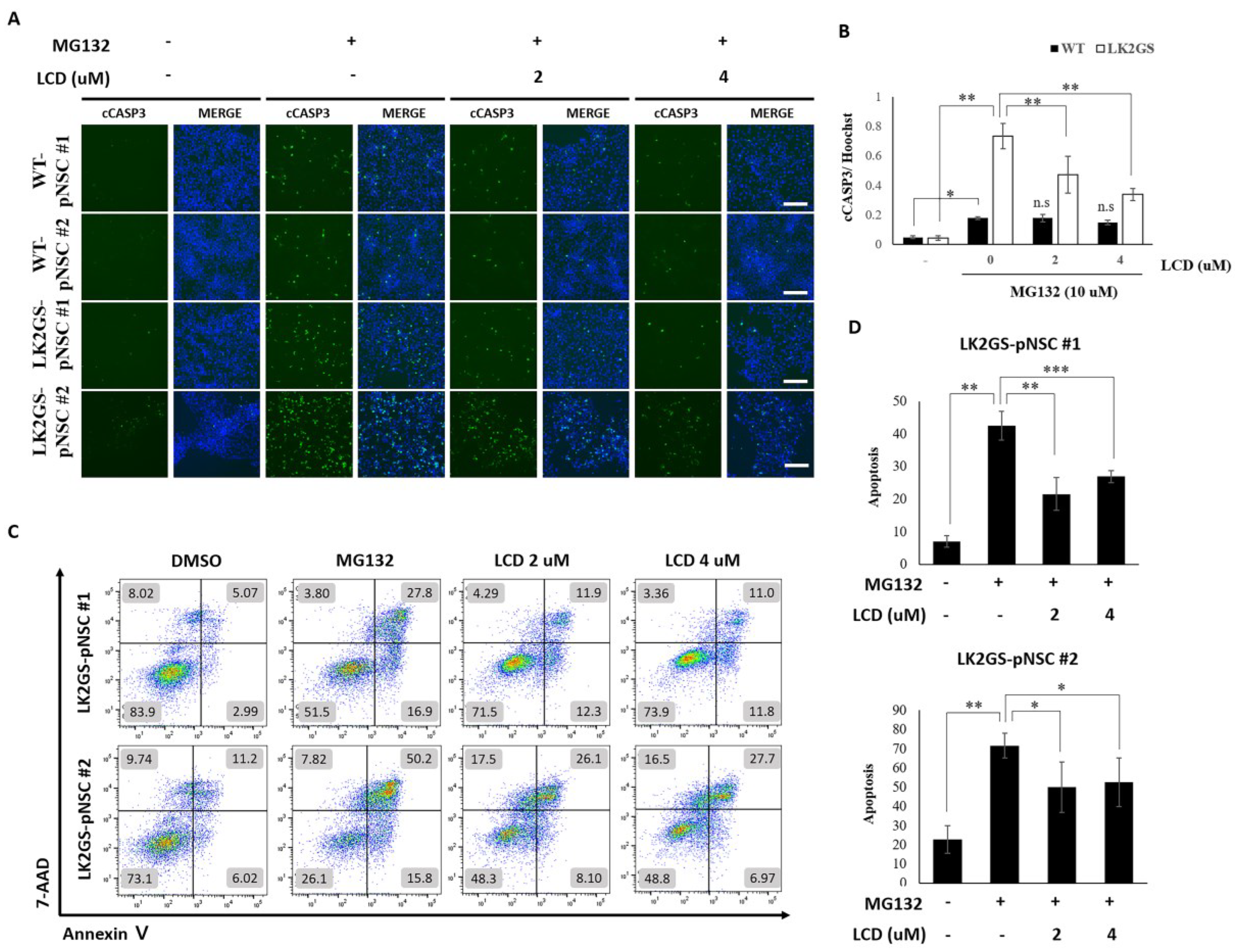 Biomedicines 11 00228 g004 Biomedicines 11 00228 g004