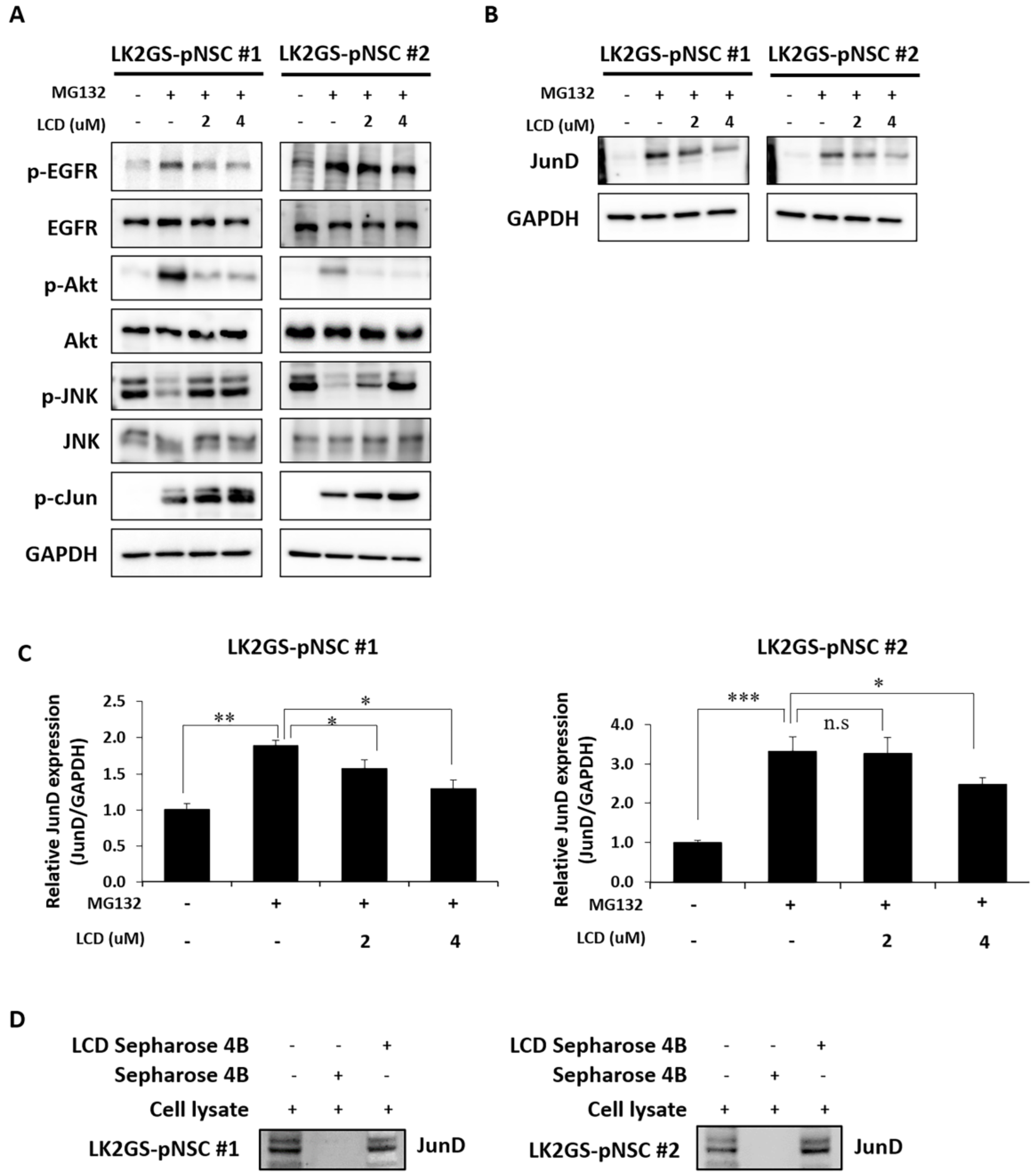 Biomedicines 11 00228 g005 Biomedicines 11 00228 g005