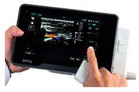 Biomedicines 11 00239 i001