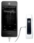 Biomedicines 11 00239 i009