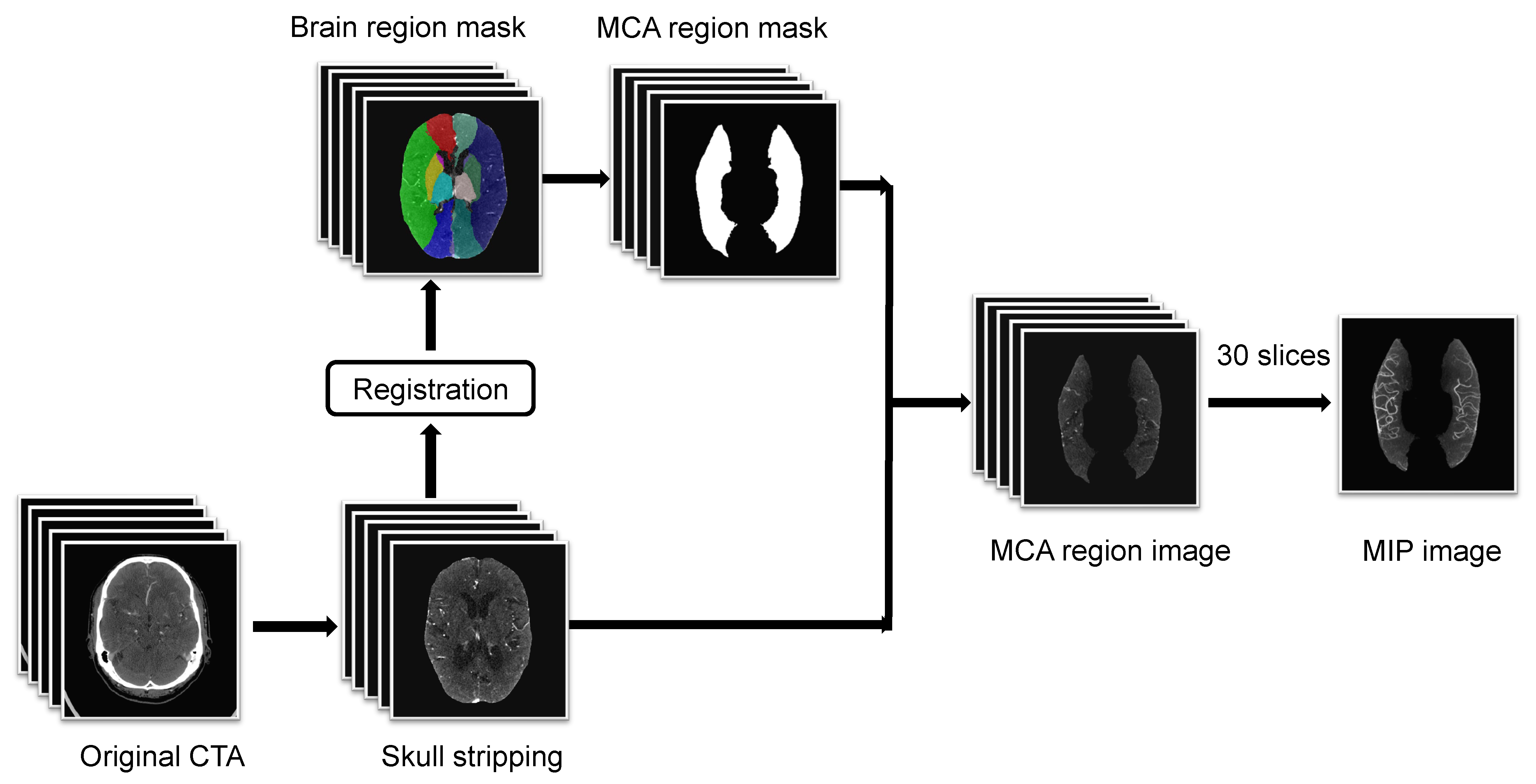 Biomedicines 11 00243 g001
