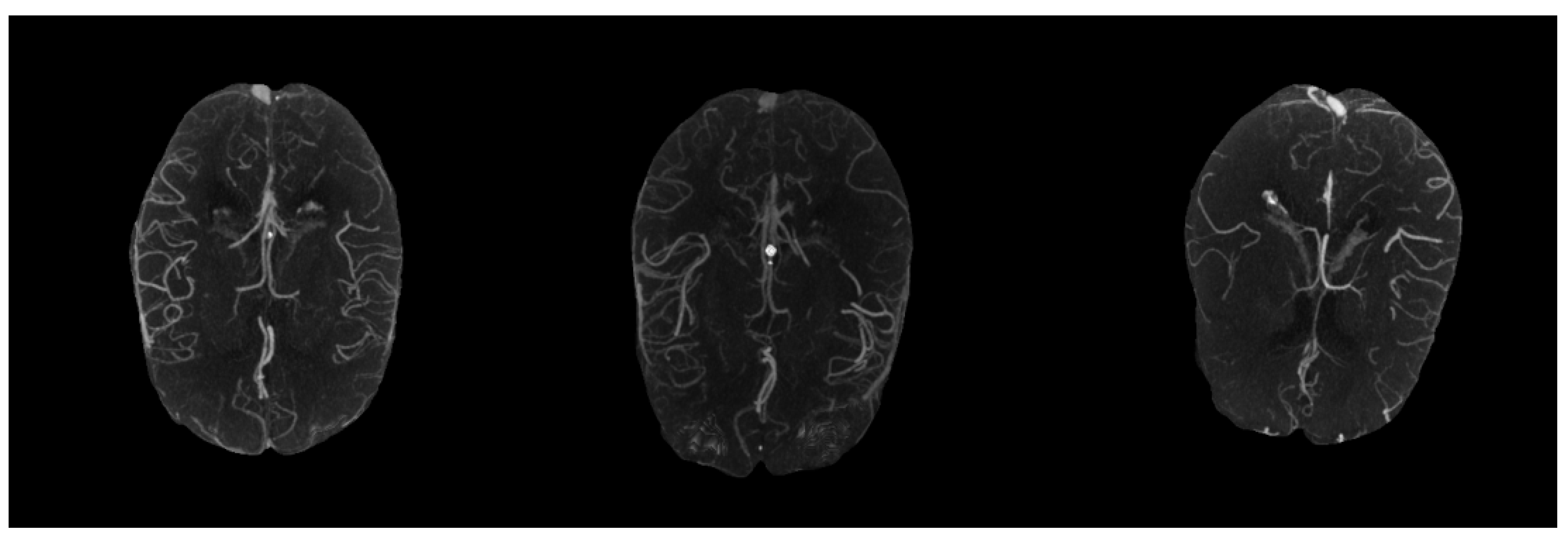 Biomedicines 11 00243 g002