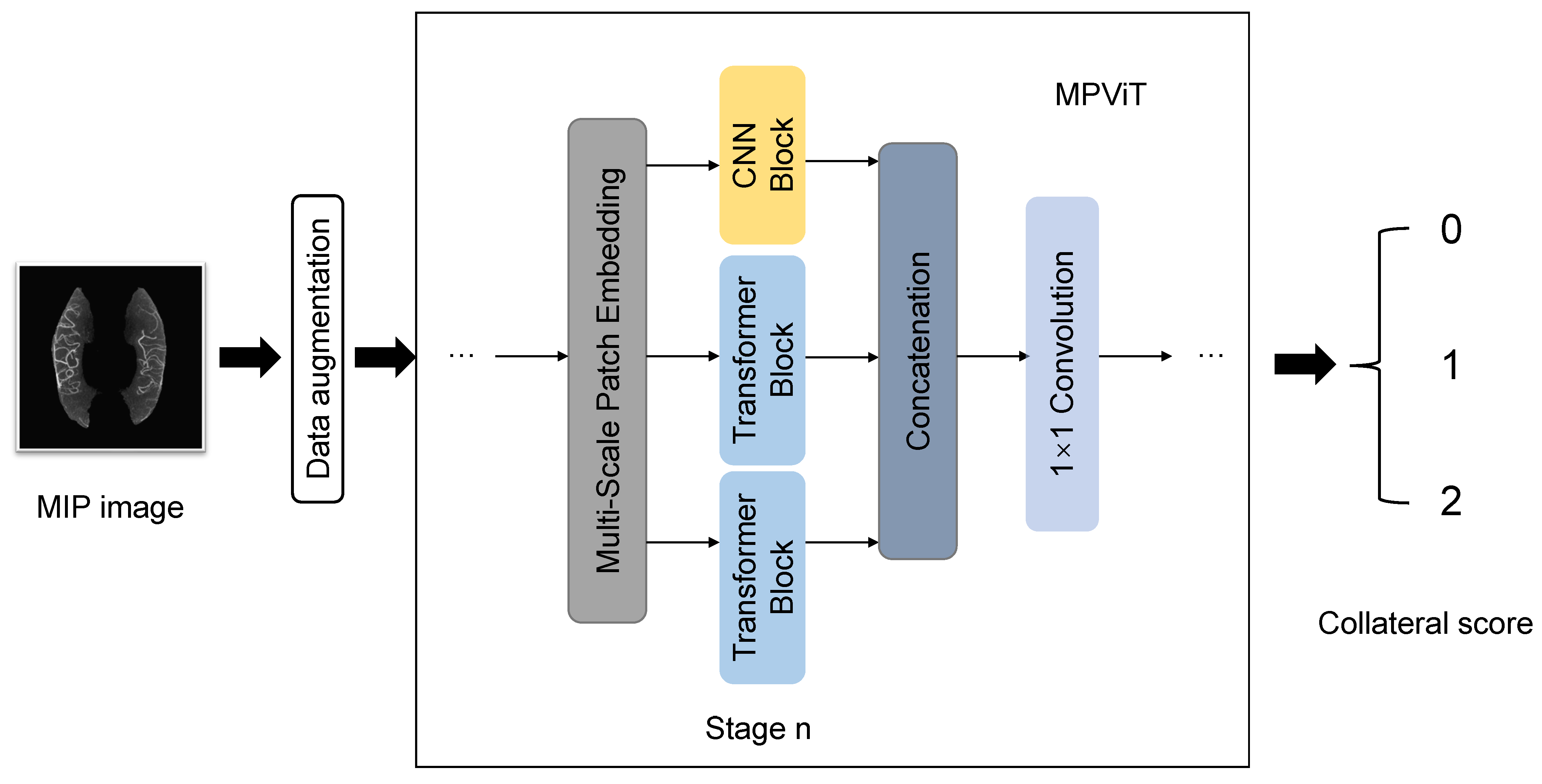 Biomedicines 11 00243 g003