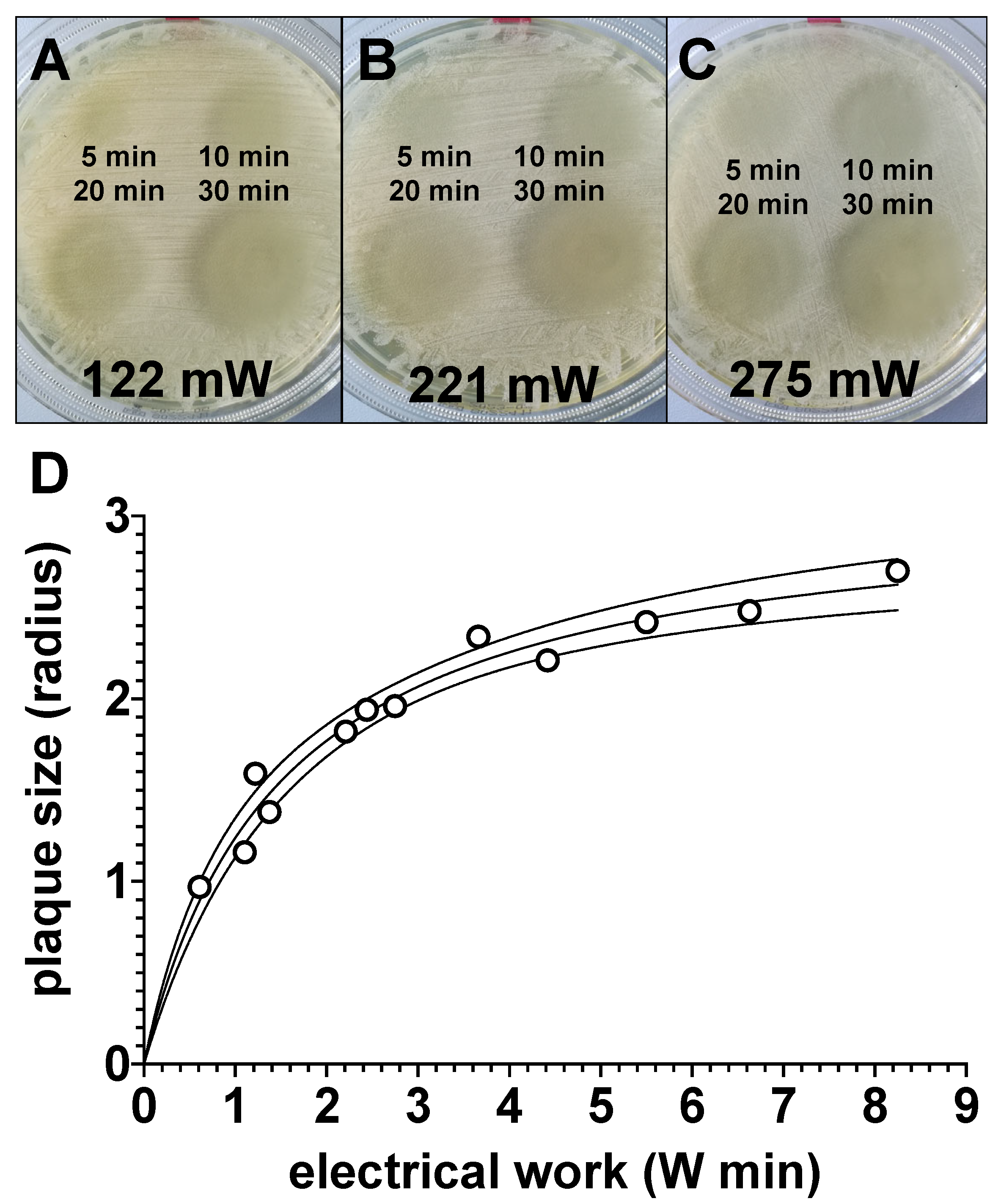 Biomedicines 11 00244 g007 Biomedicines 11 00244 g007
