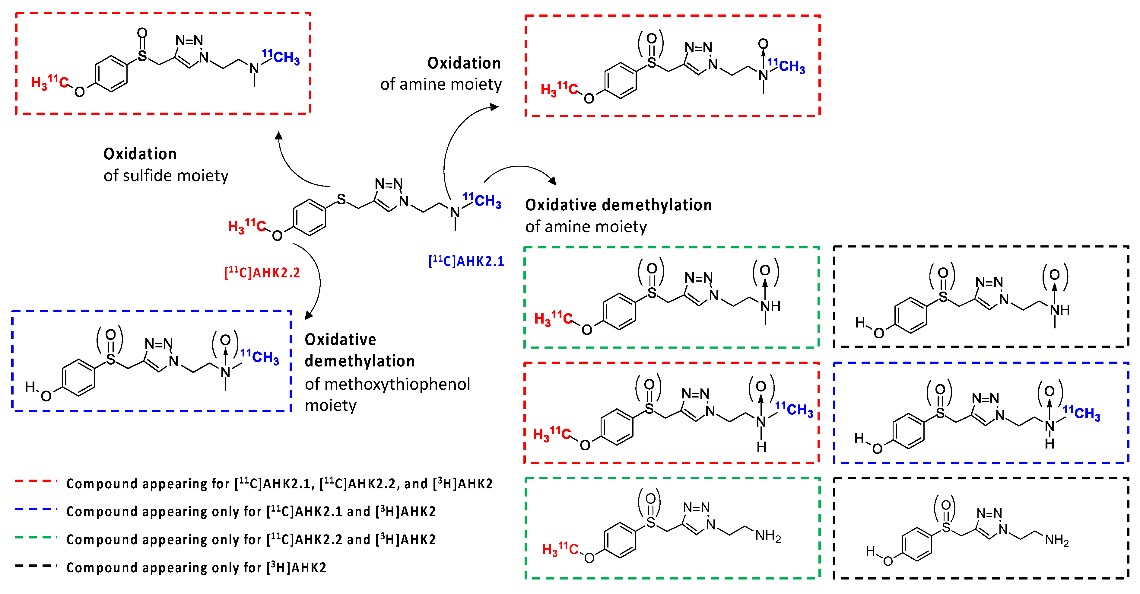 Biomedicines 11 00253 g004 Biomedicines 11 00253 g004
