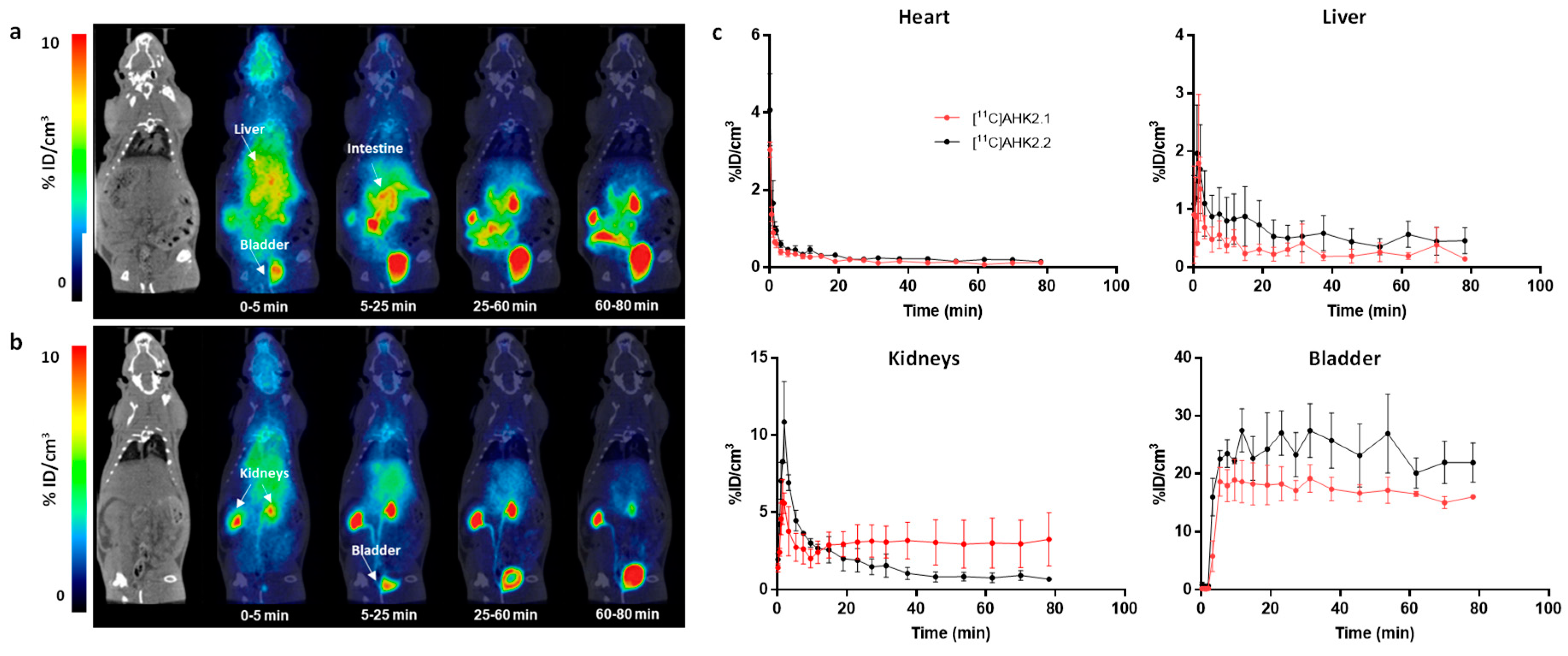 Biomedicines 11 00253 g006 Biomedicines 11 00253 g006