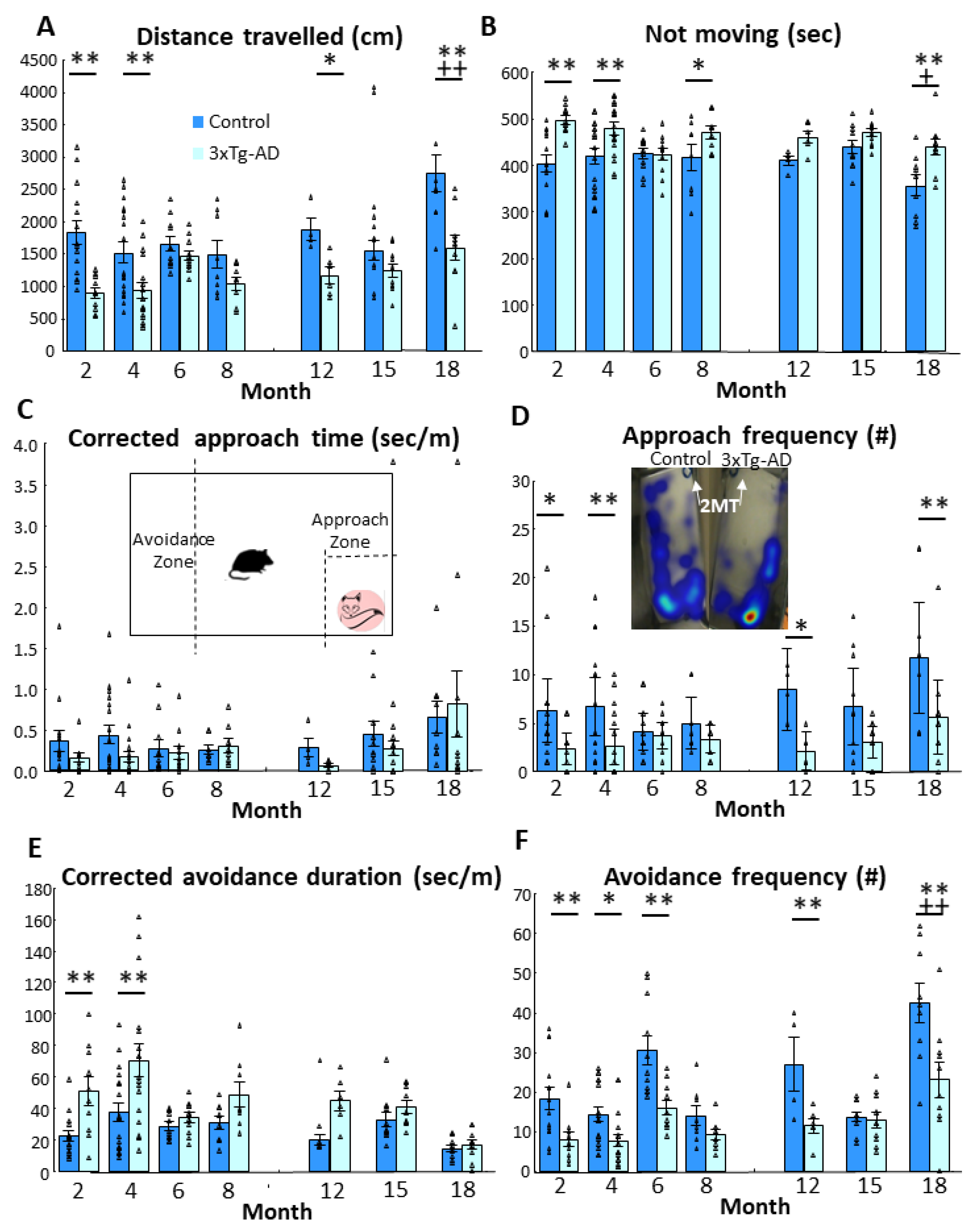 Biomedicines 11 00262 g001