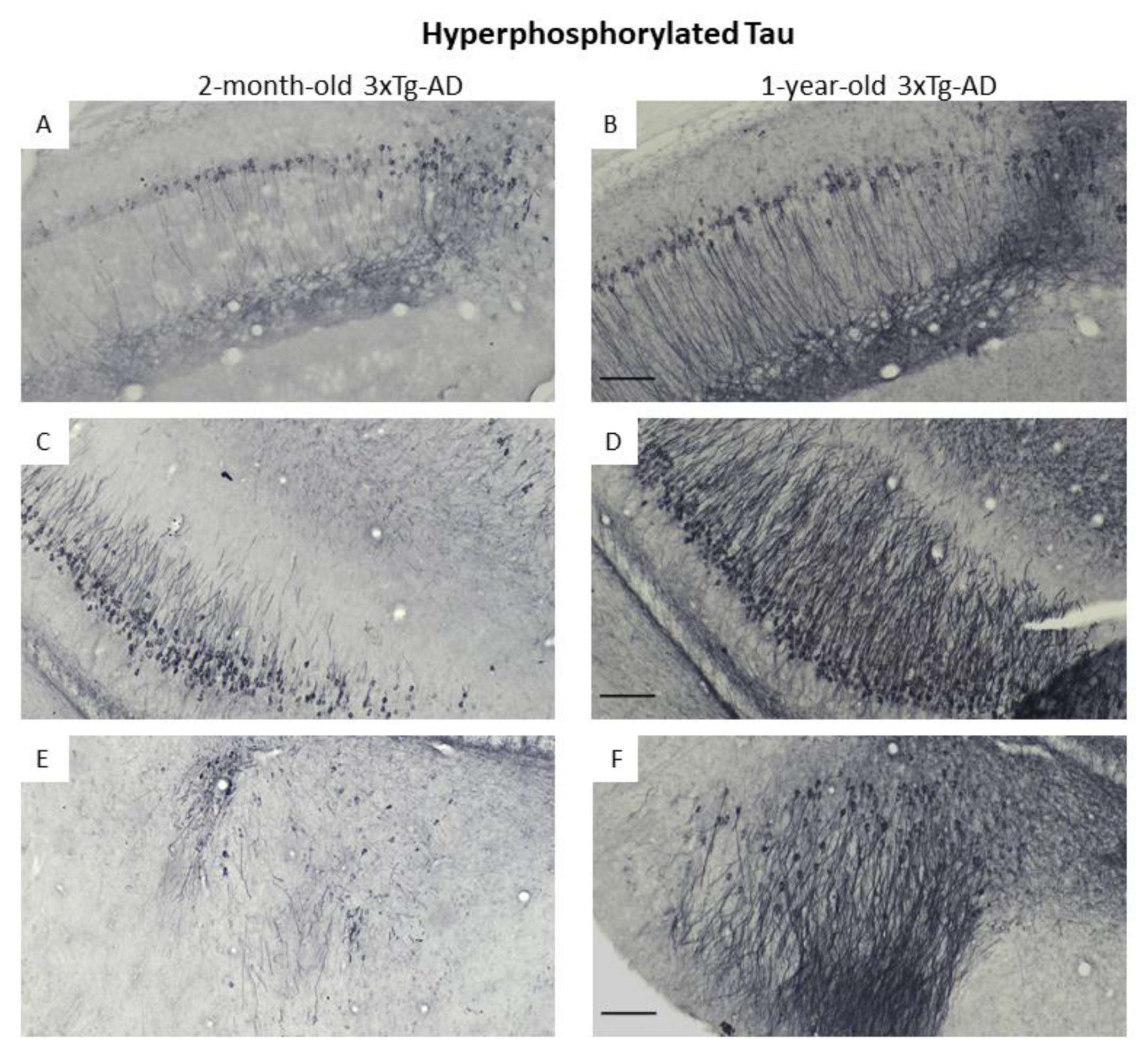 Biomedicines 11 00262 g007