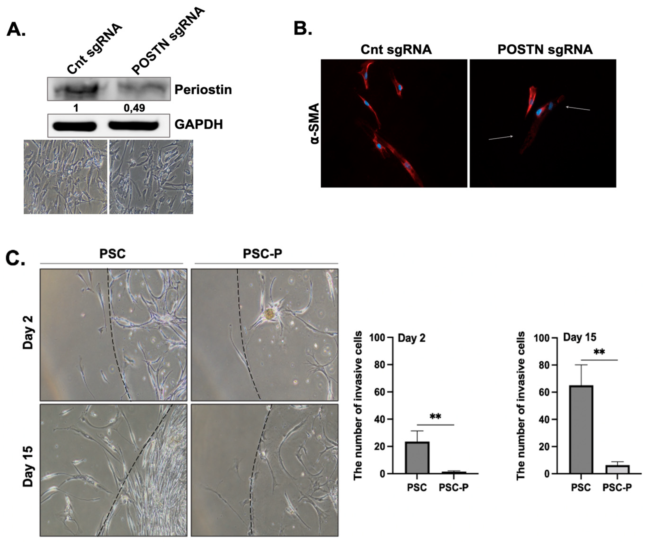 Biomedicines 11 00270 g002a