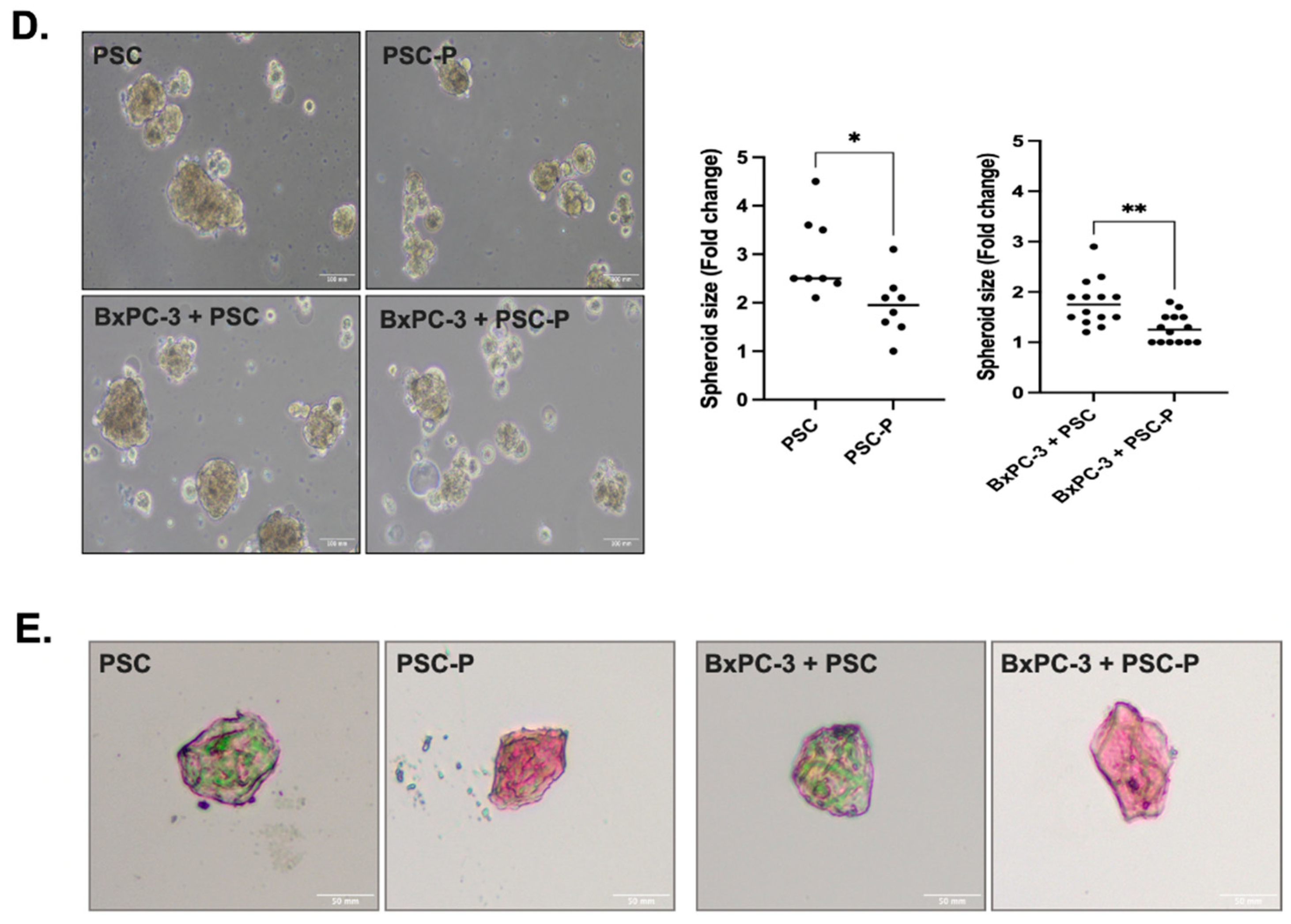Biomedicines 11 00270 g002b