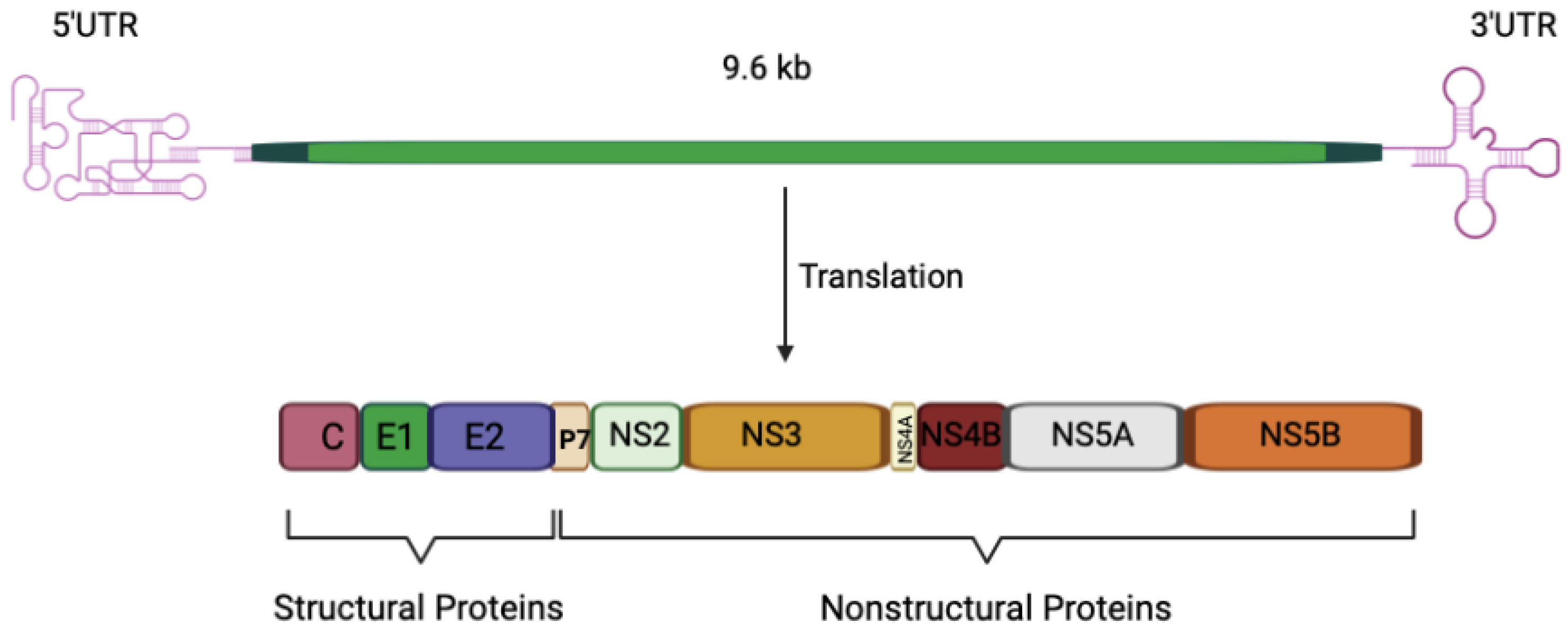 Biomedicines 11 00271 g001 Biomedicines 11 00271 g001