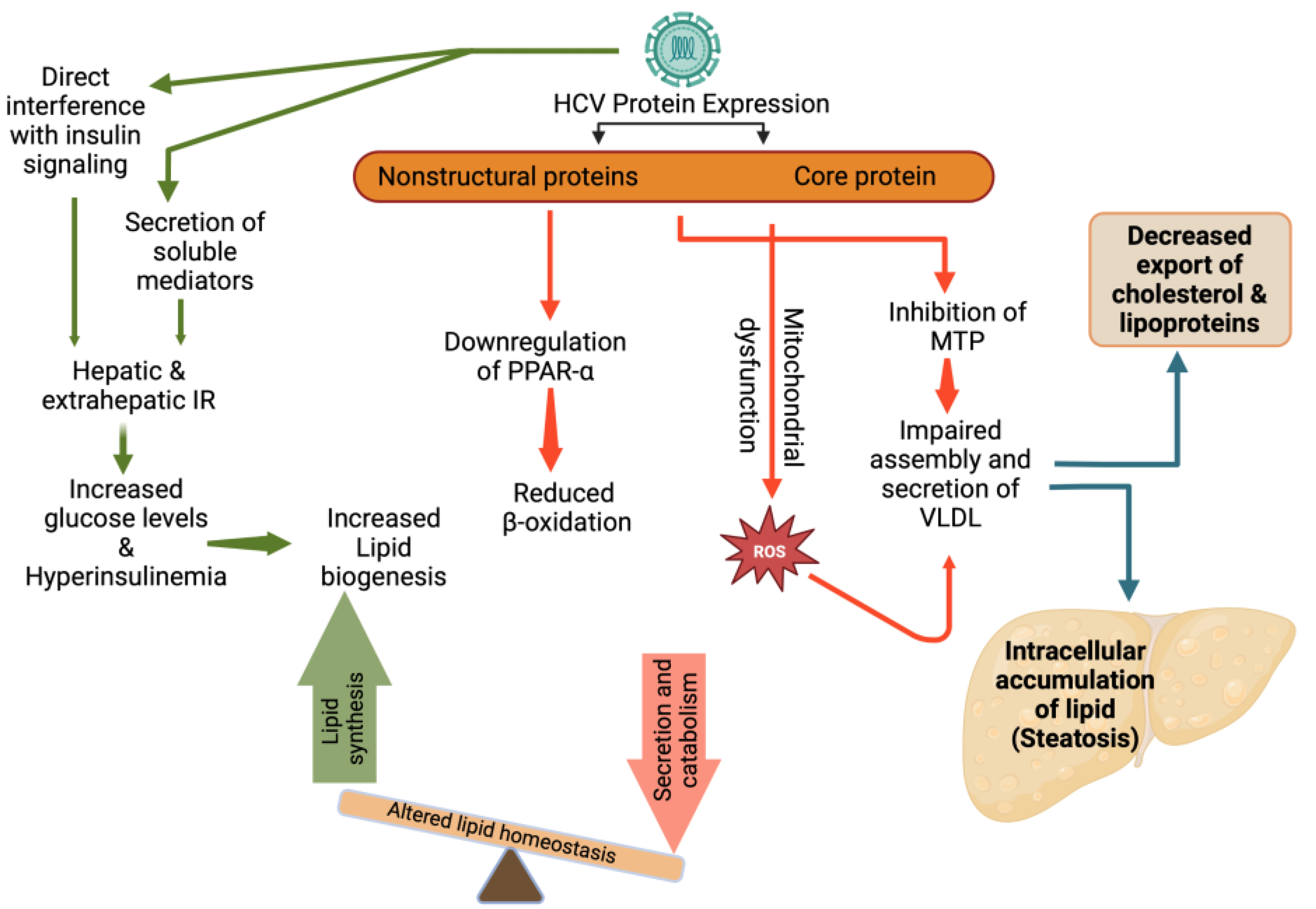 Biomedicines 11 00271 g003 Biomedicines 11 00271 g003