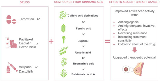 Biomedicines 11 00275 g004