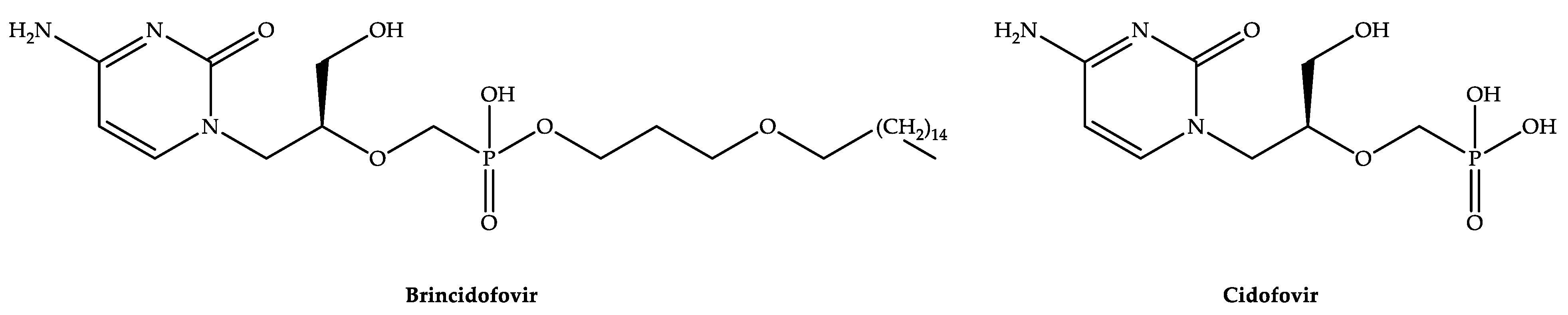 Biomedicines 11 00278 g001 Biomedicines 11 00278 g001