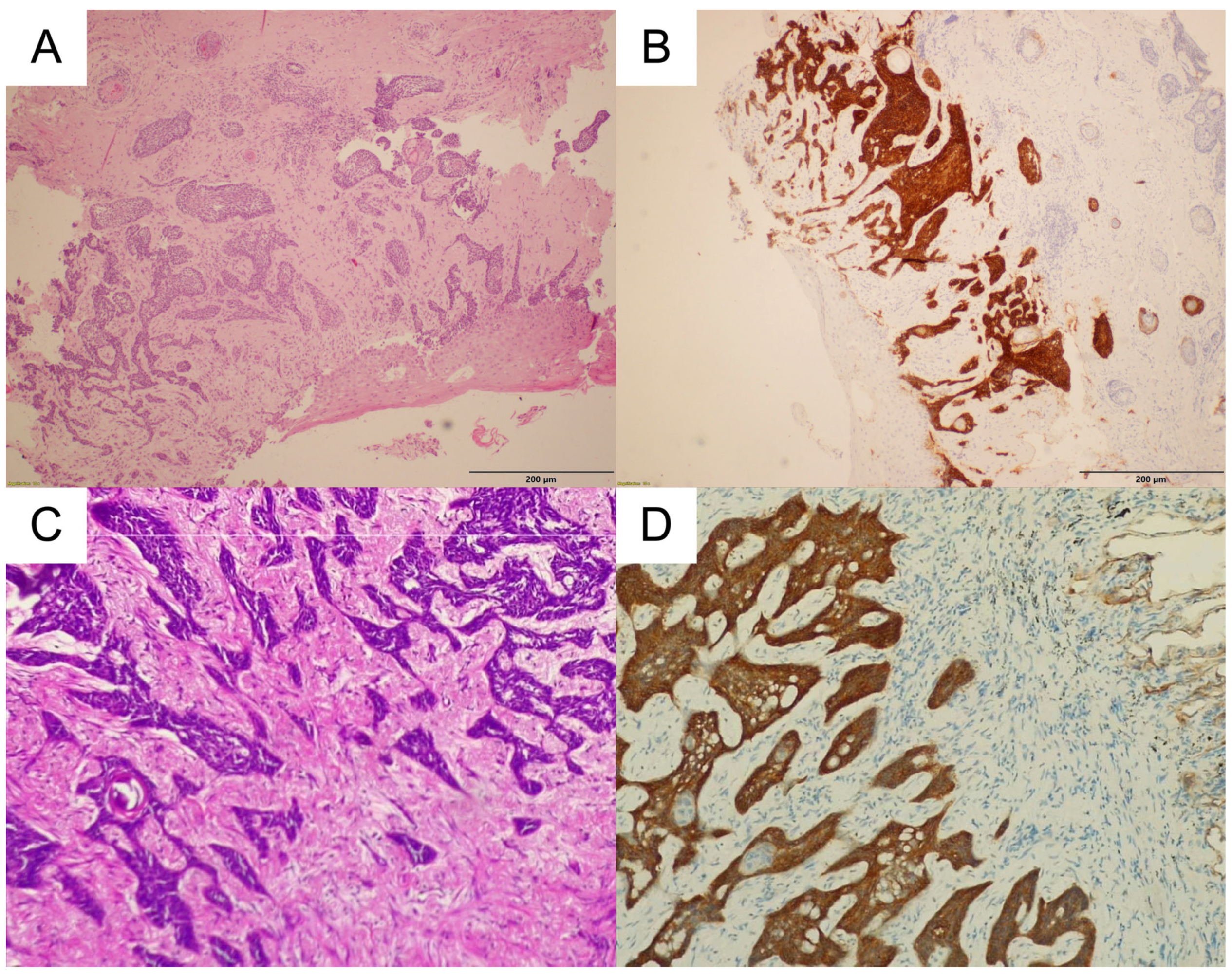 Biomedicines 11 00283 g002