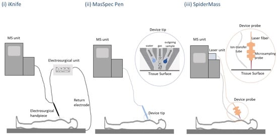 Biomedicines 11 00286 g003