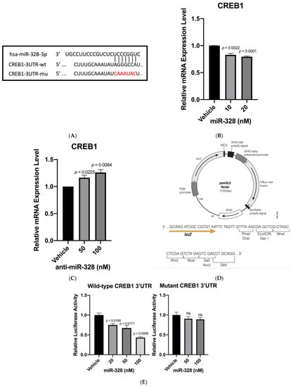 Biomedicines 11 00287 g001