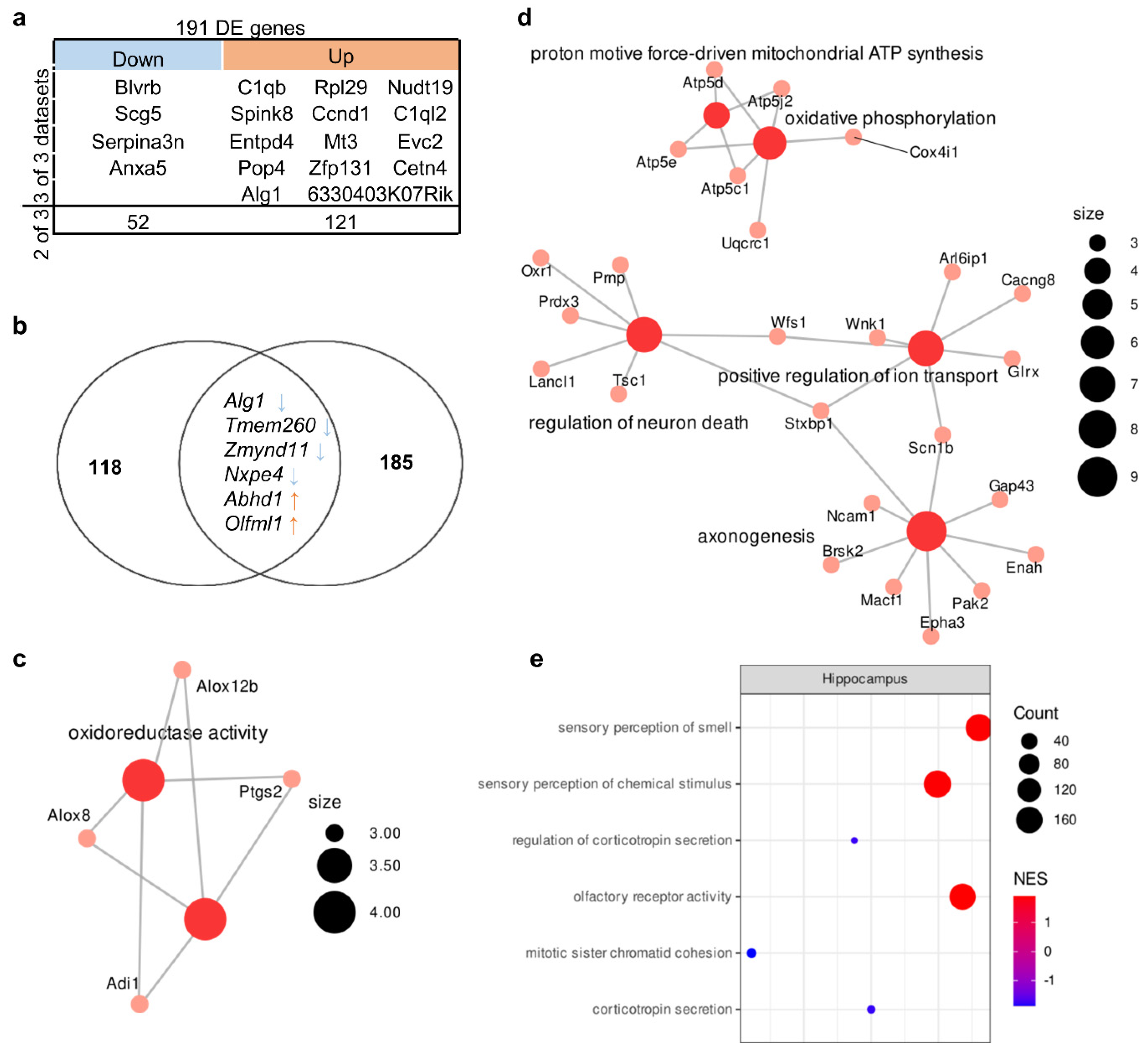Biomedicines 11 00289 g002