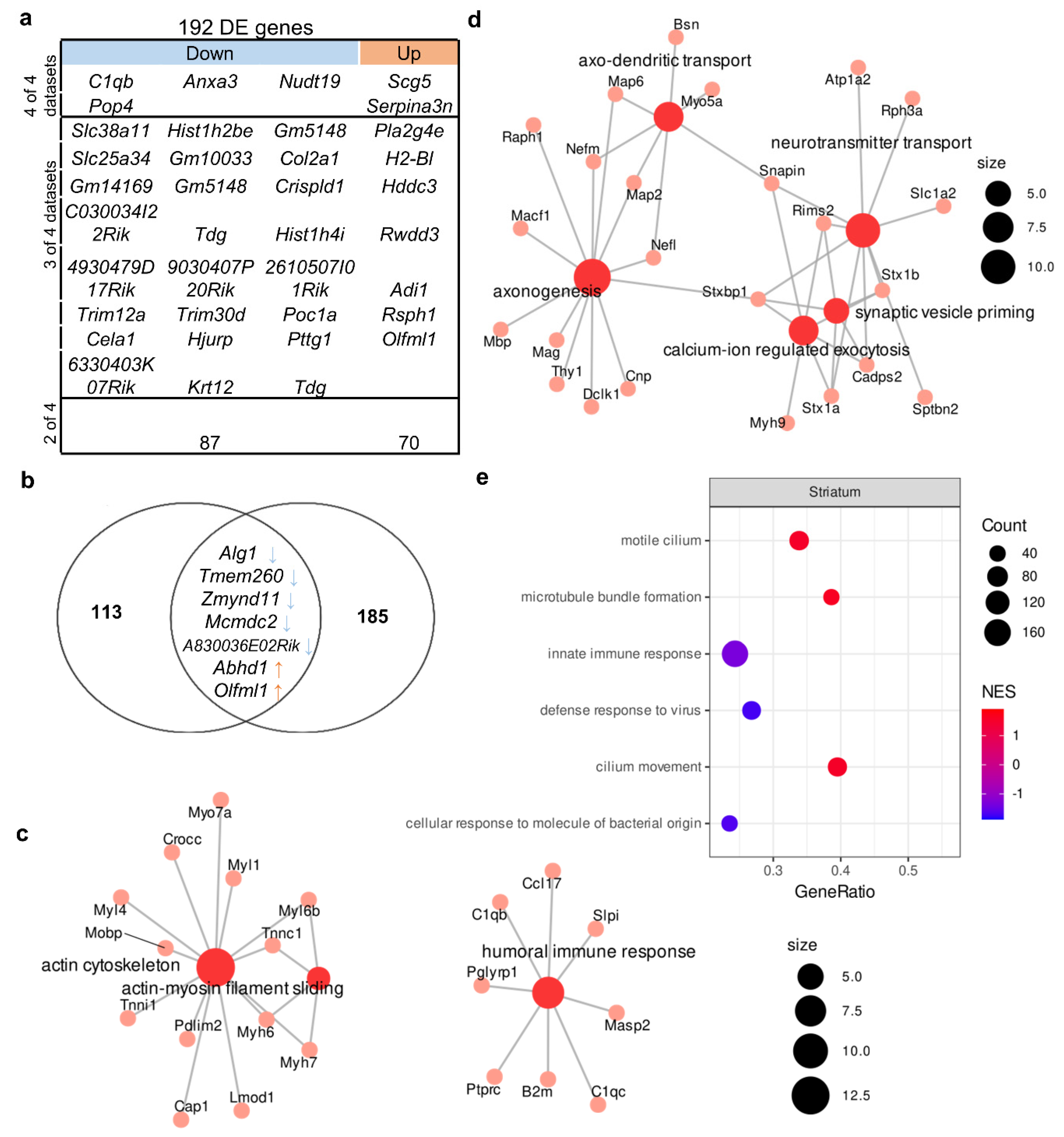 Biomedicines 11 00289 g003
