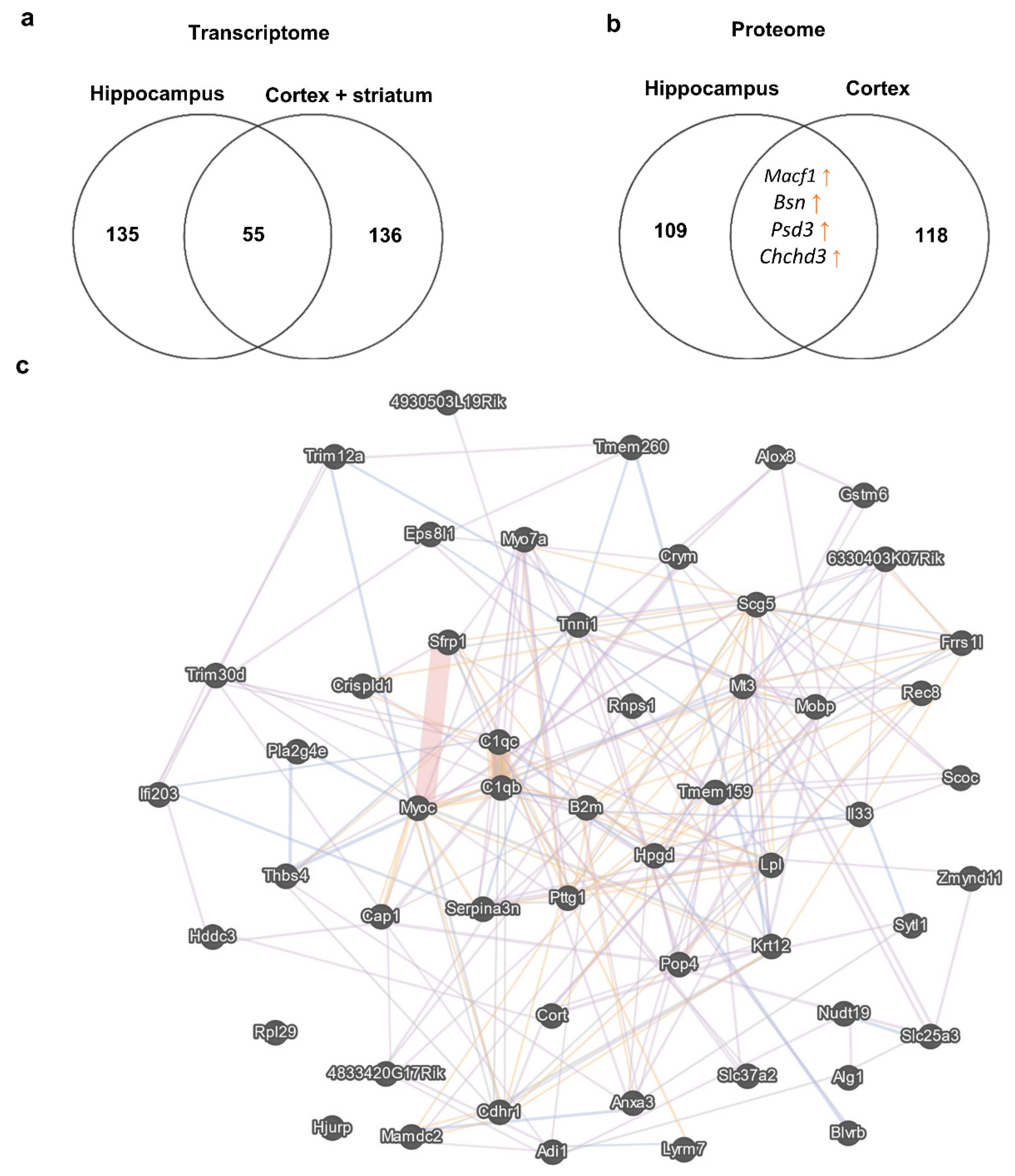 Biomedicines 11 00289 g004