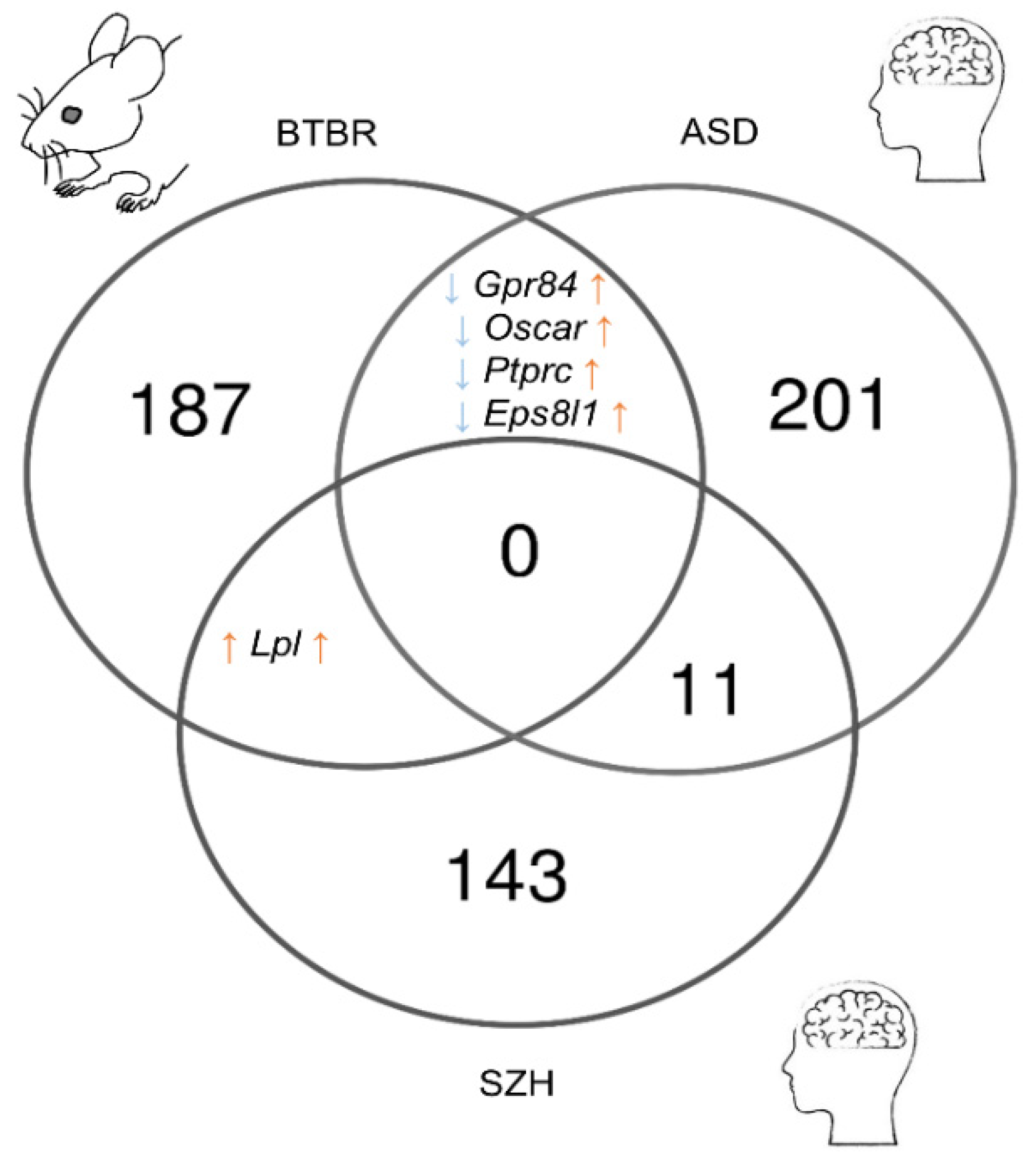 Biomedicines 11 00289 g005