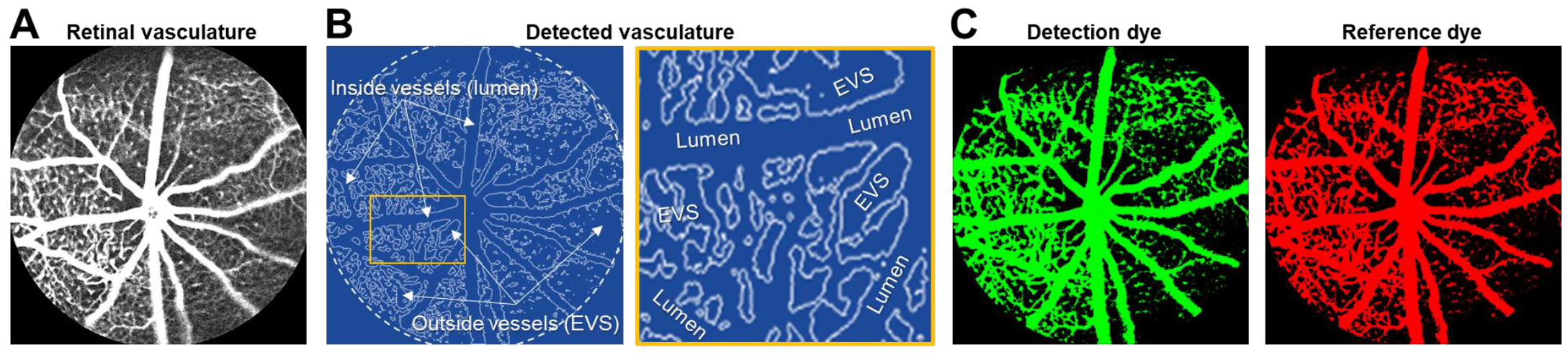Biomedicines 11 00293 g001