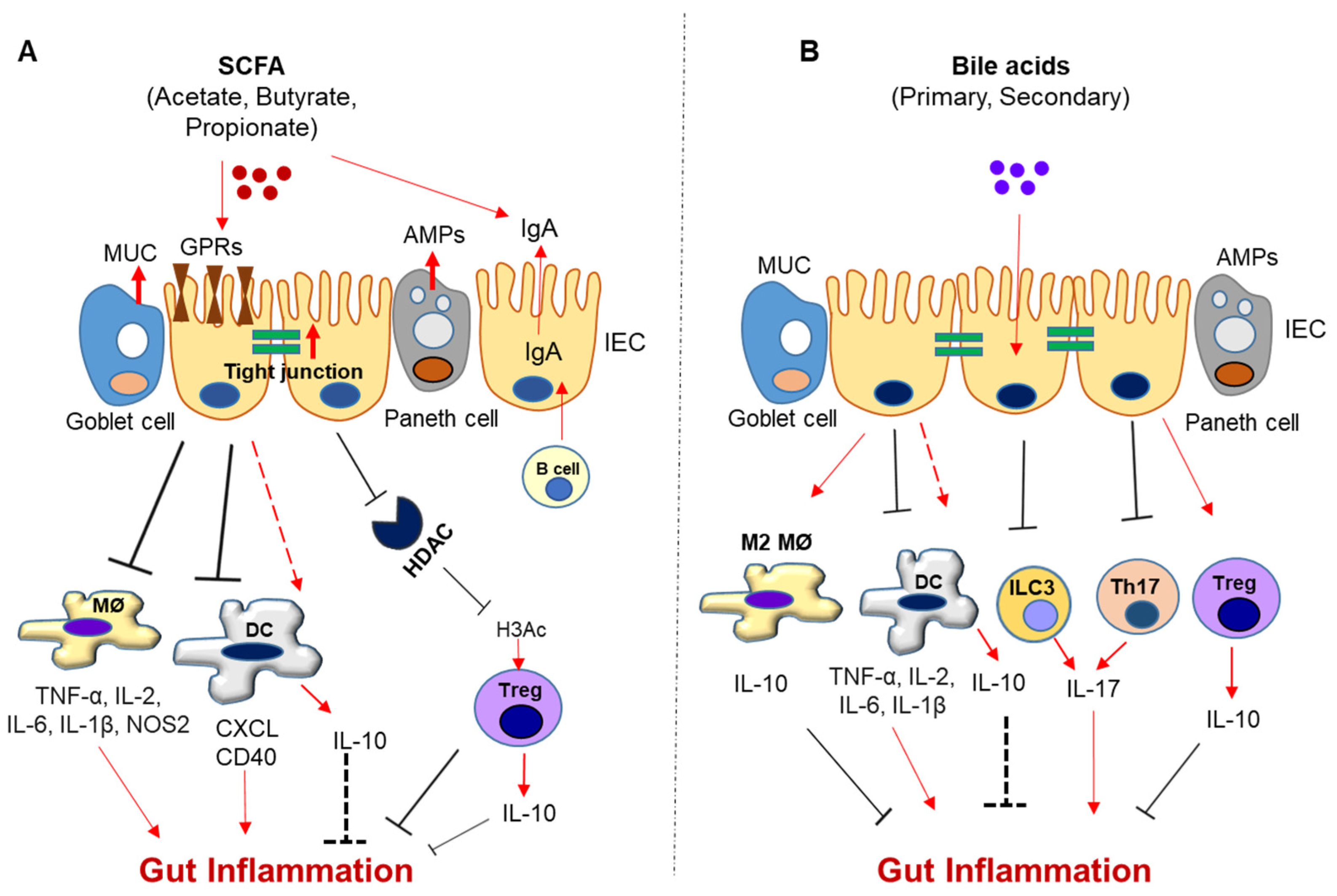 Biomedicines 11 00294 g001