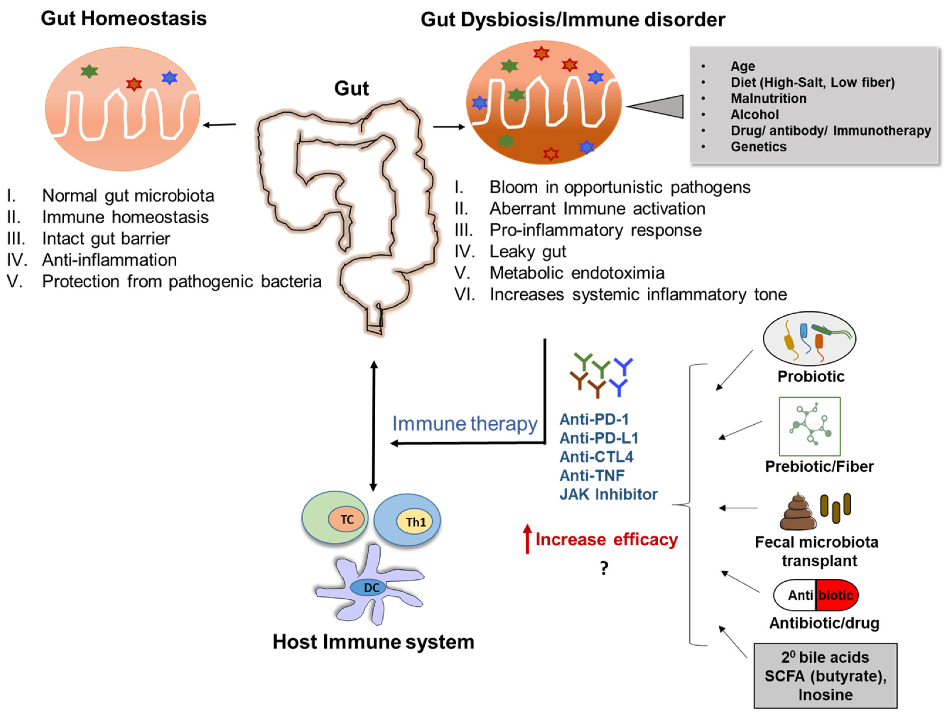 Biomedicines 11 00294 g003