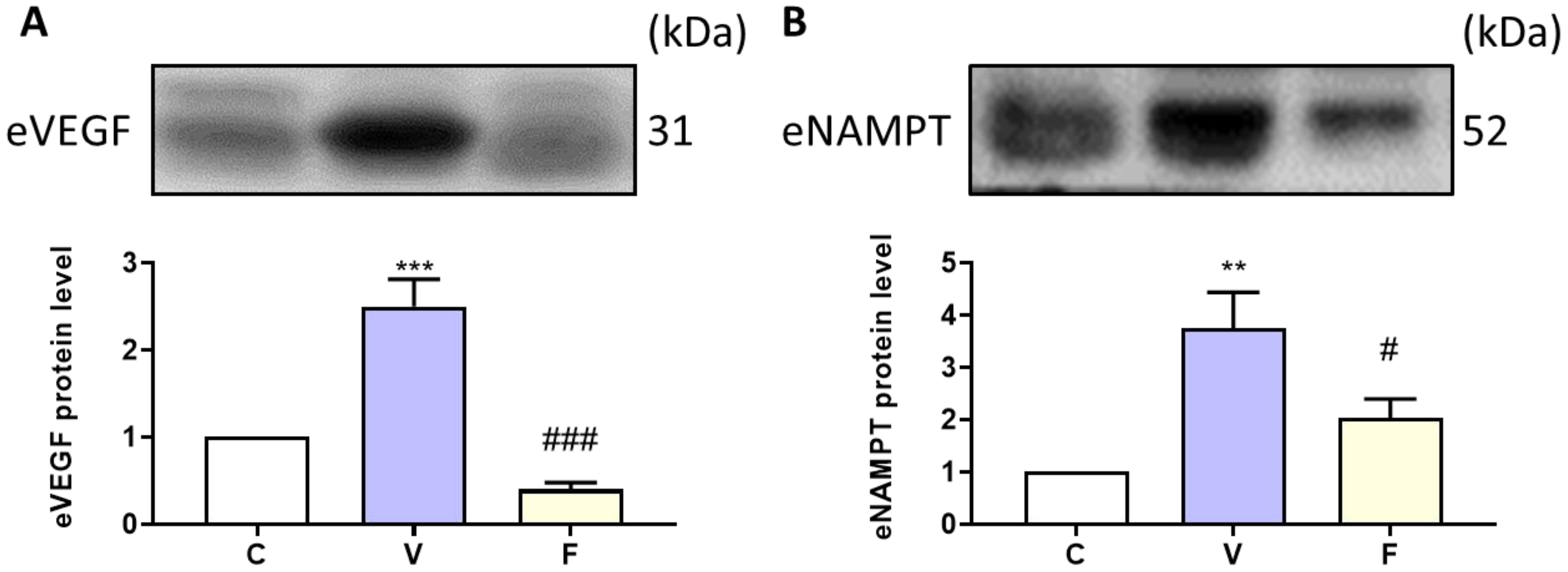 Biomedicines 11 00297 g004