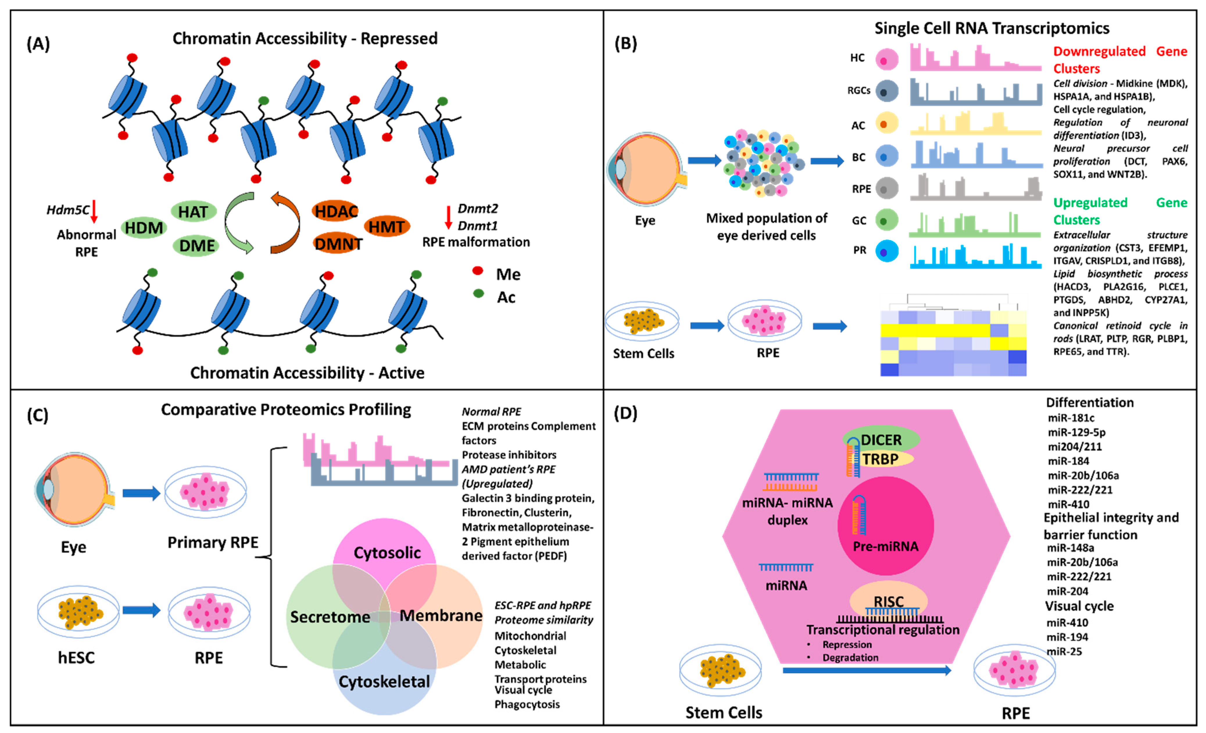 Biomedicines 11 00310 g003