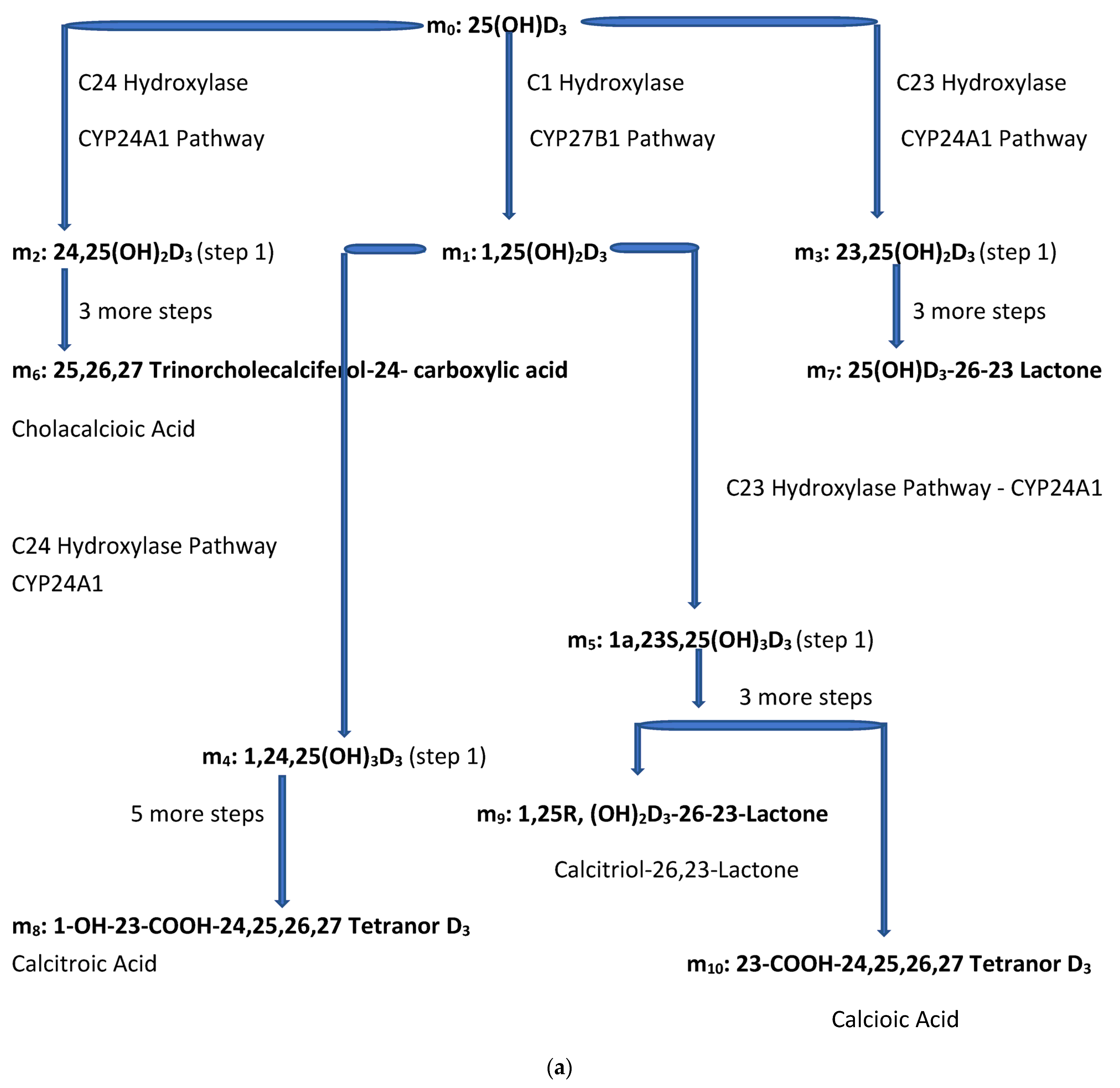 Biomedicines 11 00324 g002a