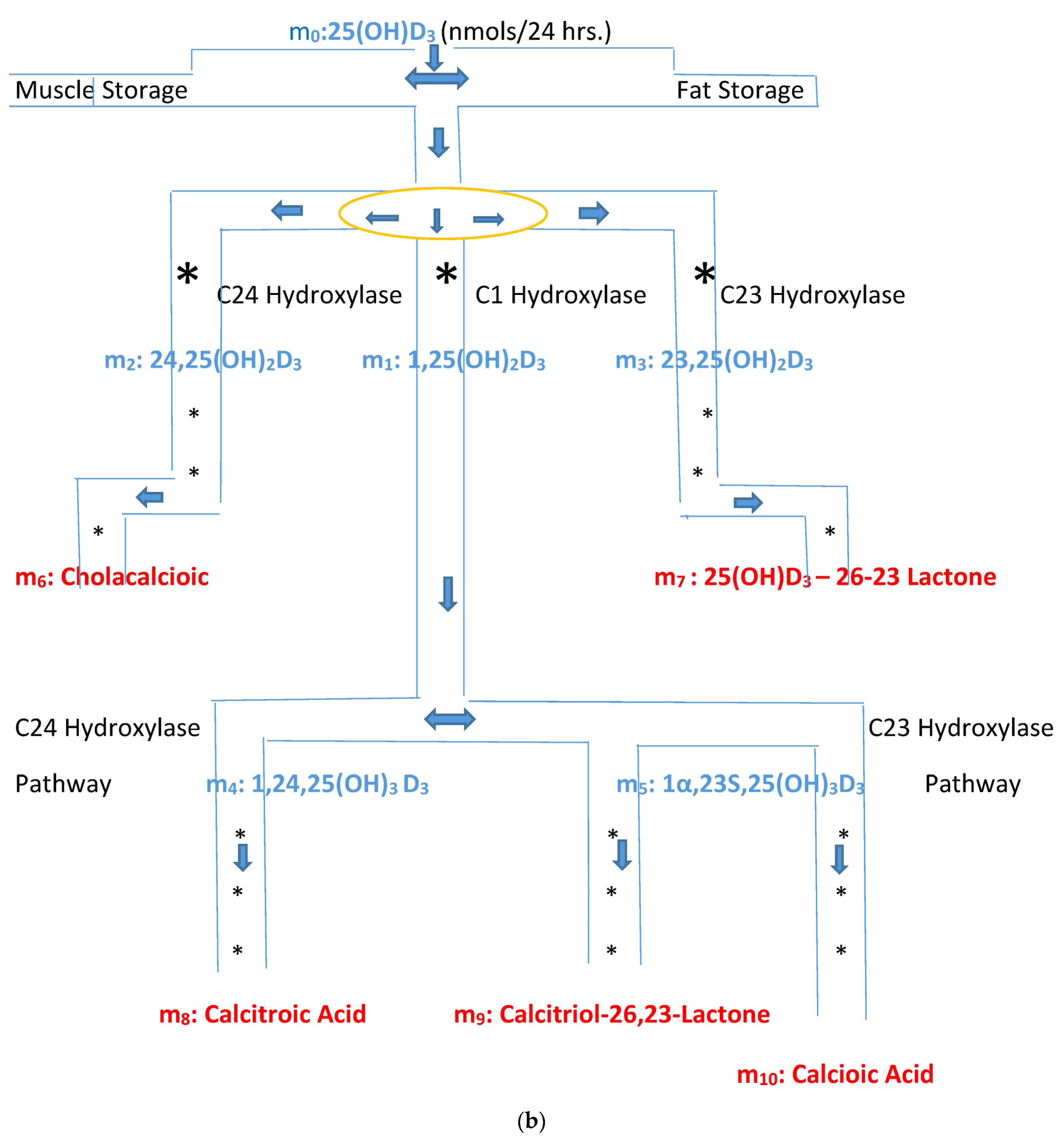 Biomedicines 11 00324 g002b