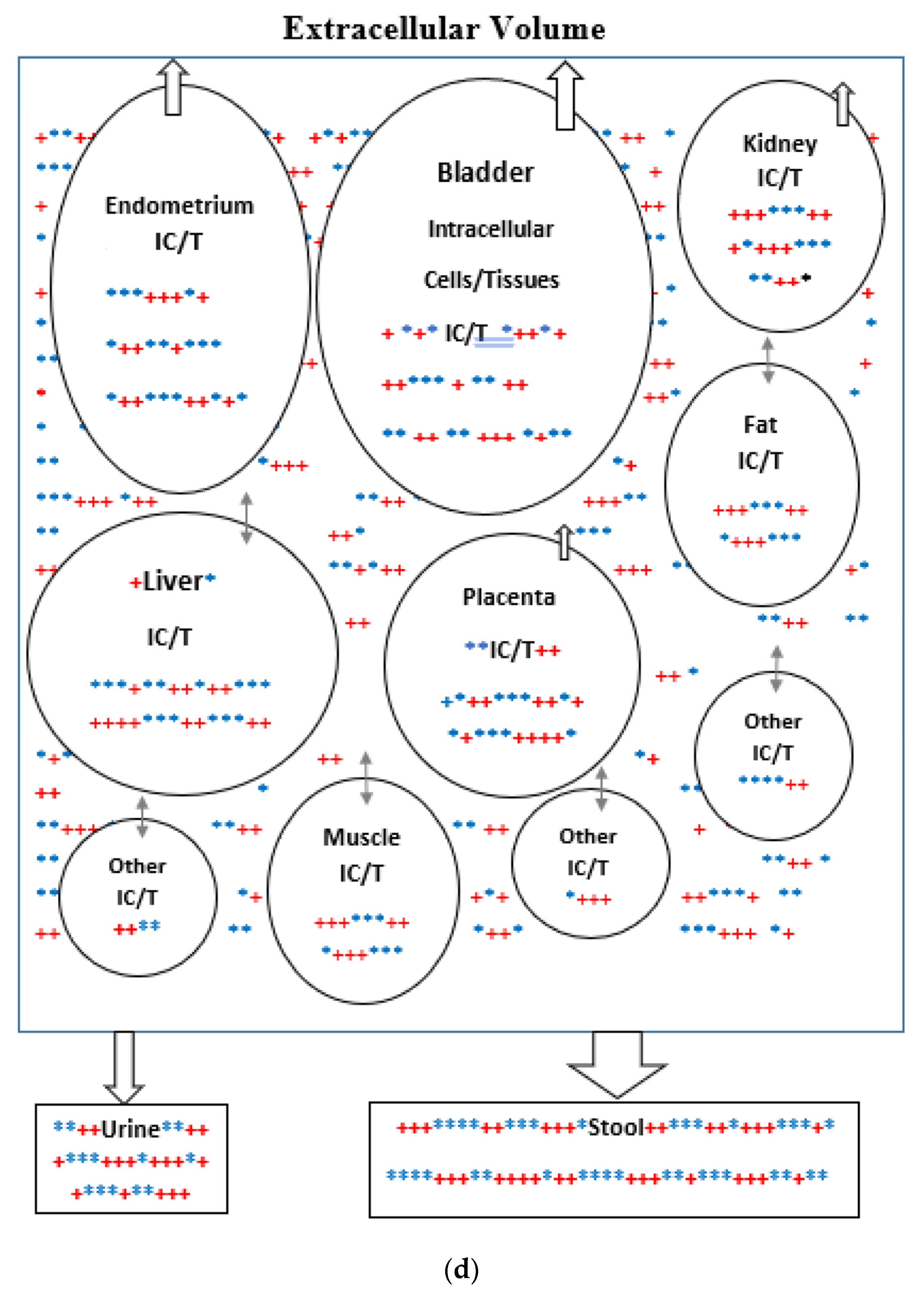 Biomedicines 11 00324 g002d