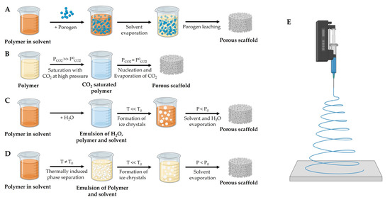 Biomedicines 11 00325 g002