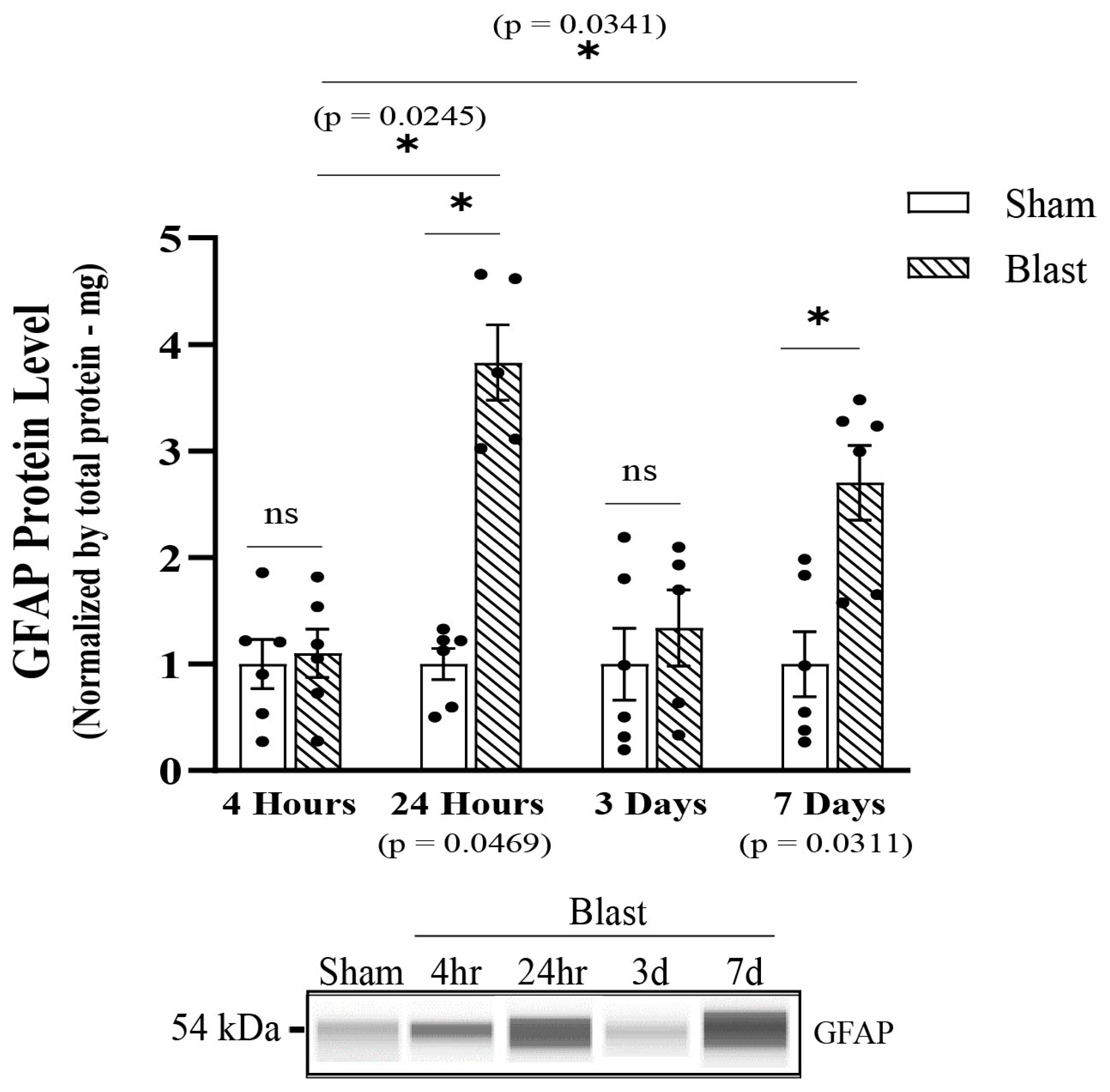 Biomedicines 11 00329 g007
