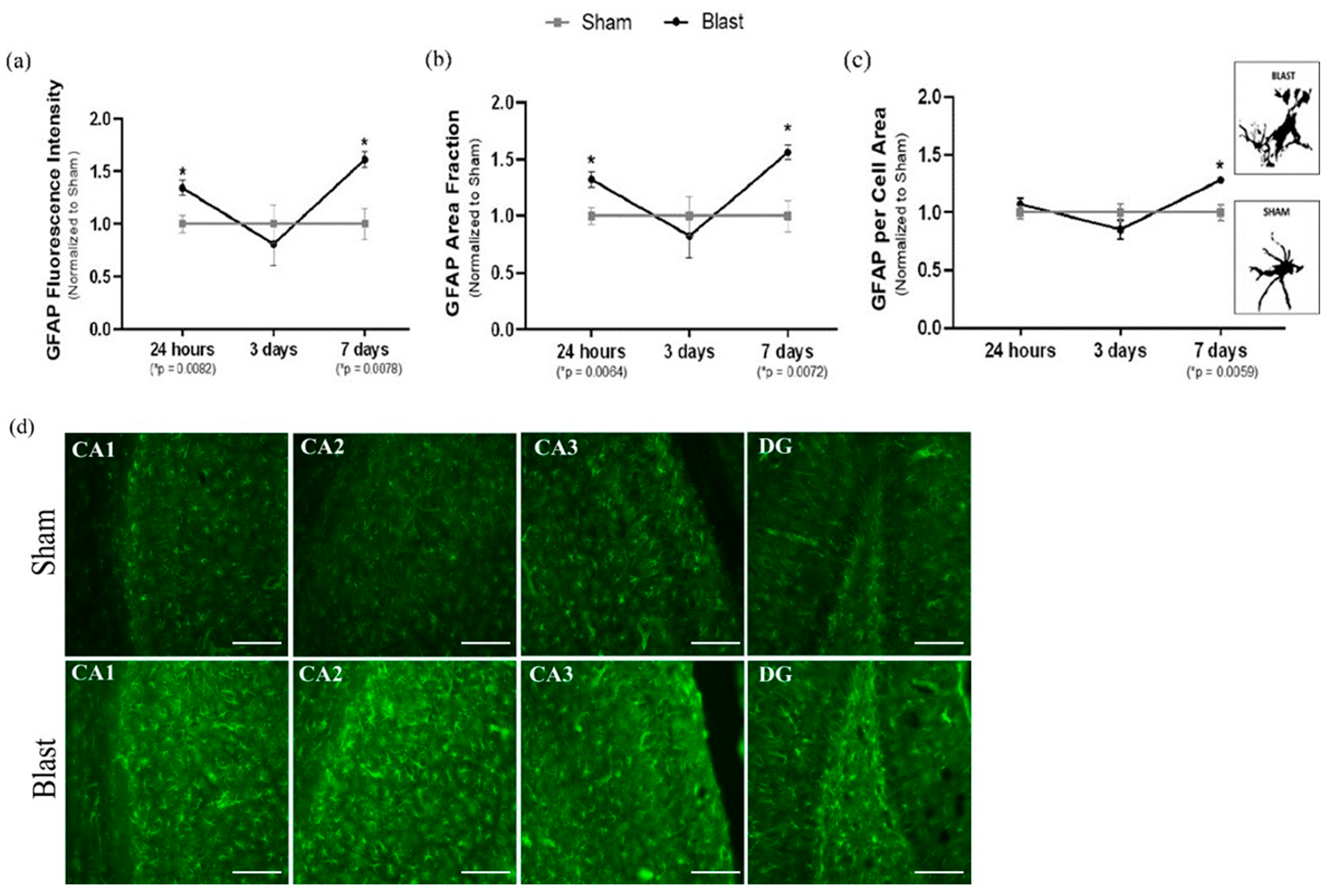 Biomedicines 11 00329 g008