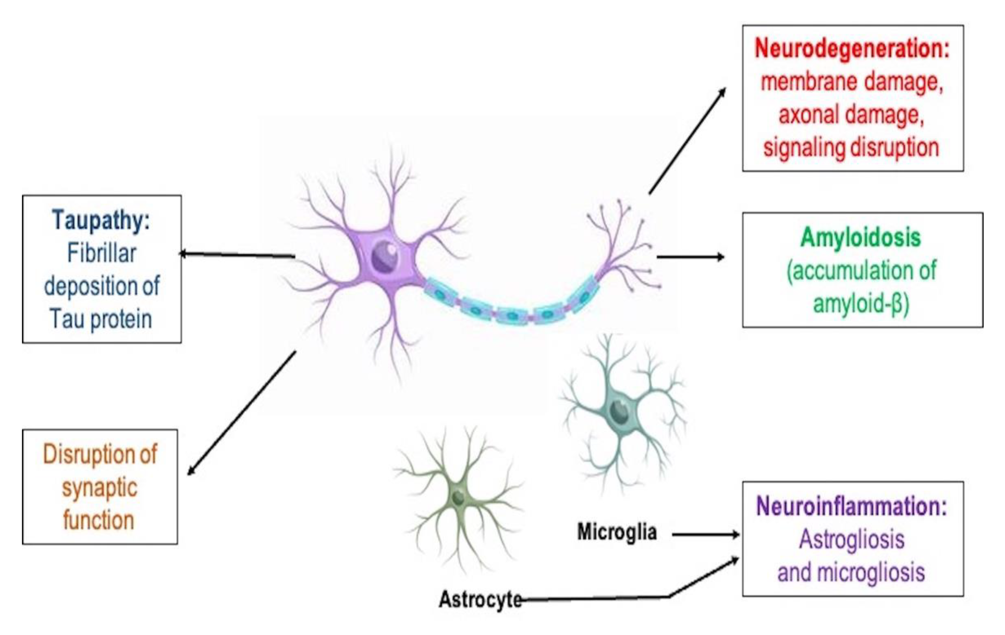 Biomedicines 11 00335 g001