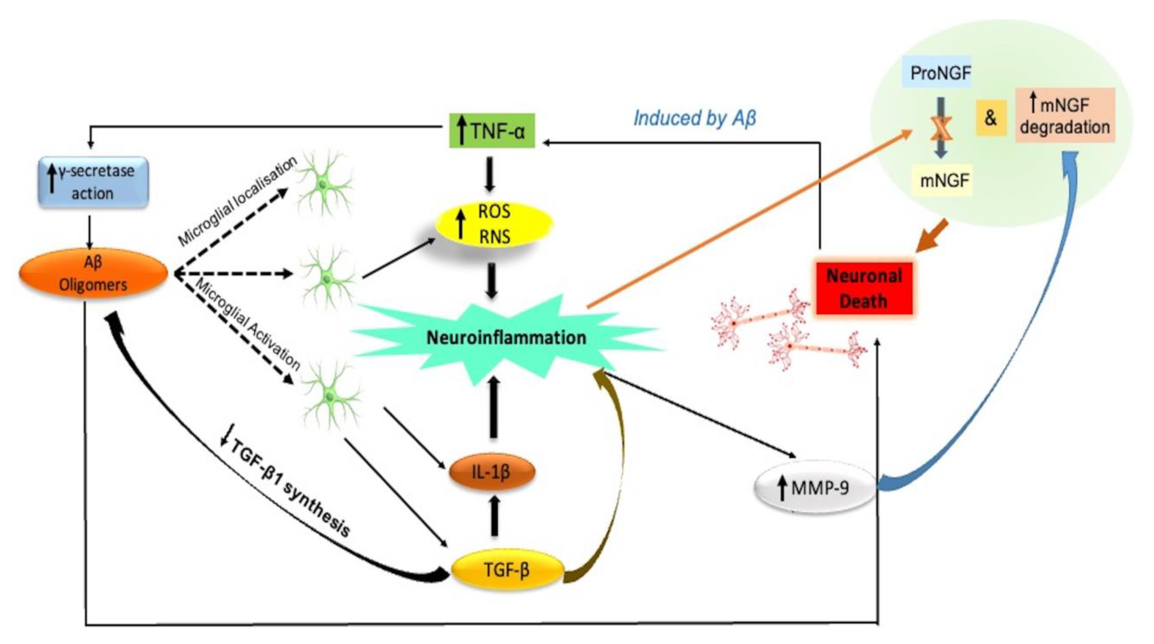 Biomedicines 11 00335 g003