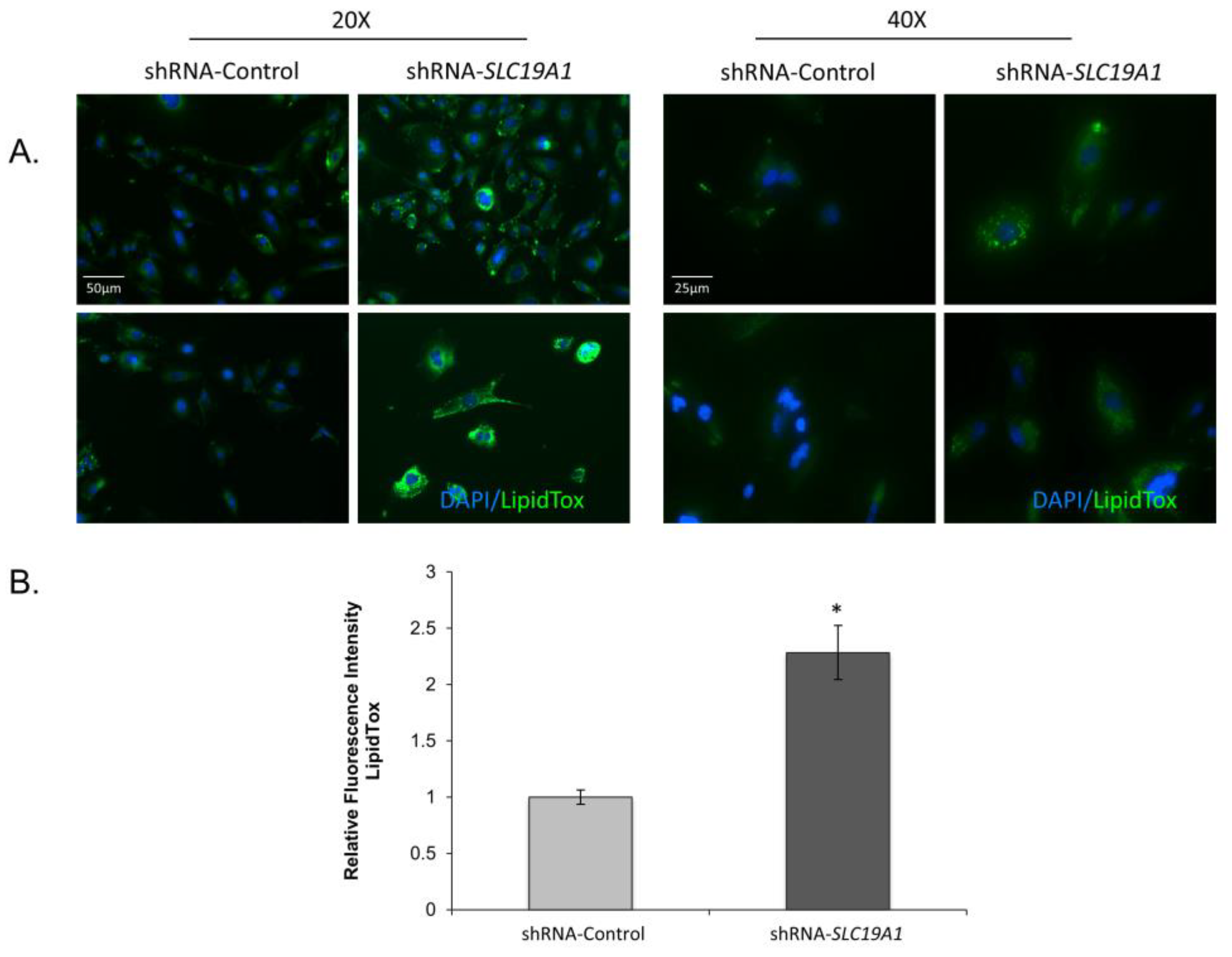 Biomedicines 11 00337 g002