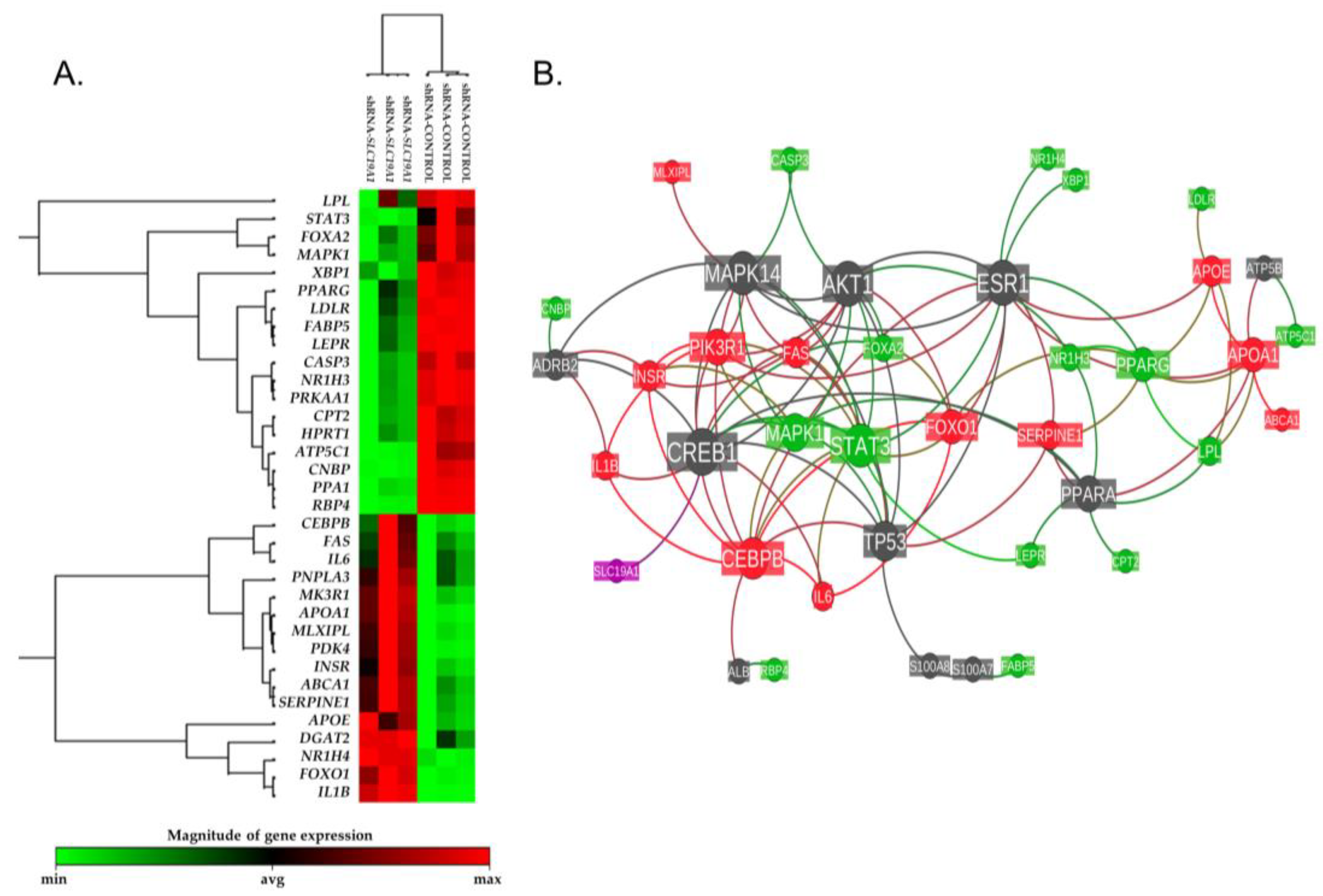 Biomedicines 11 00337 g004