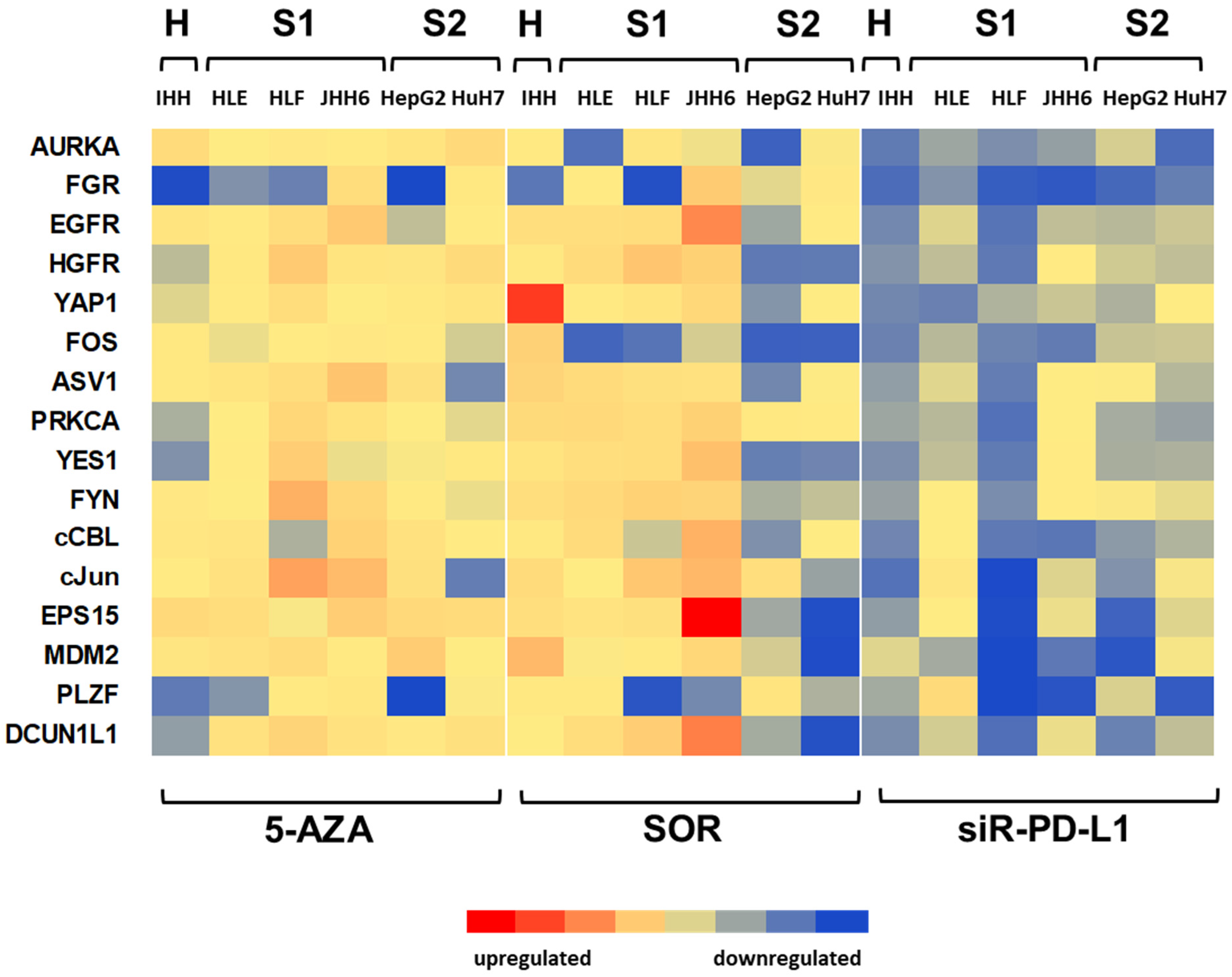 Biomedicines 11 00342 g004 Biomedicines 11 00342 g004