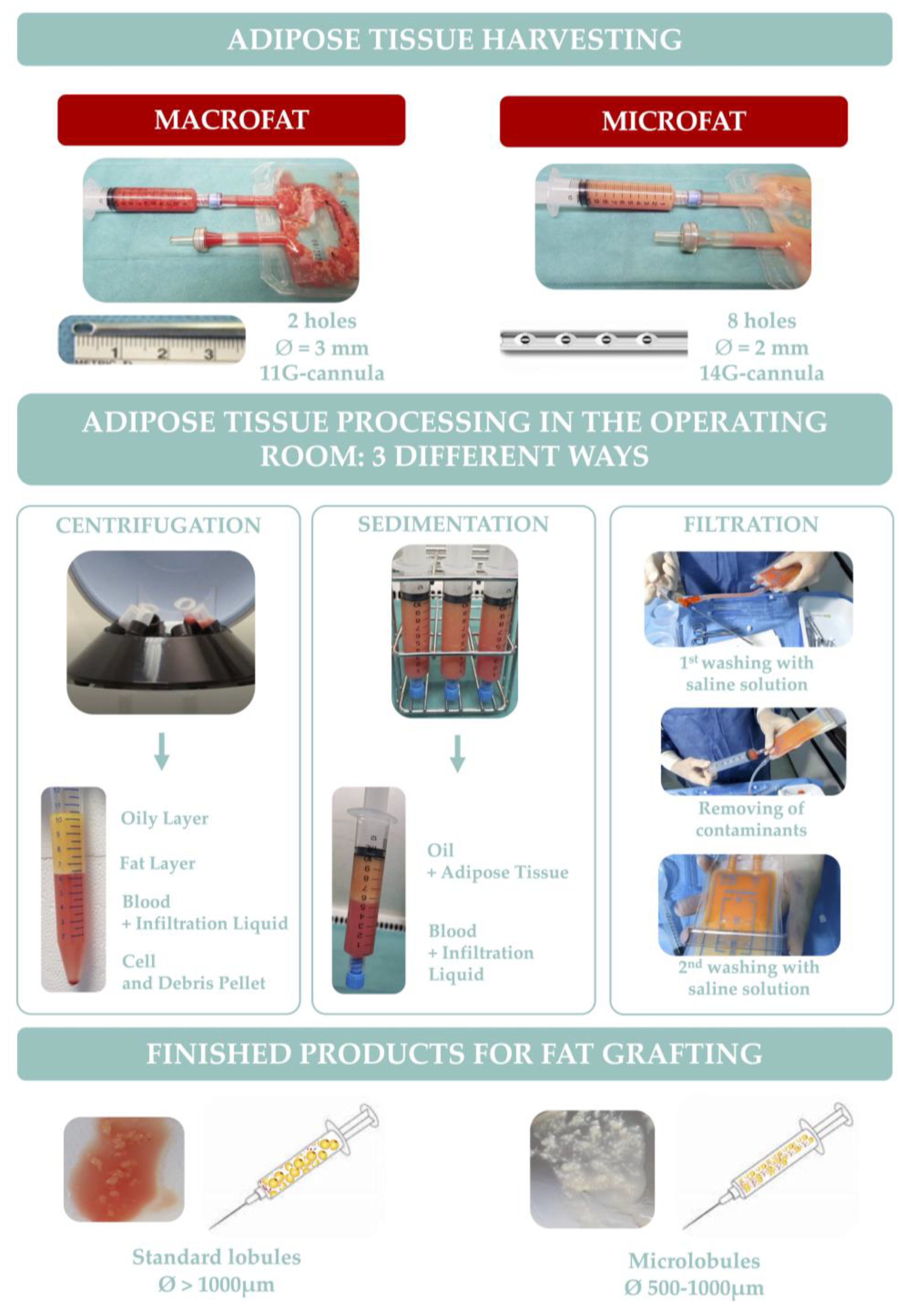 Biomedicines 11 00348 g002