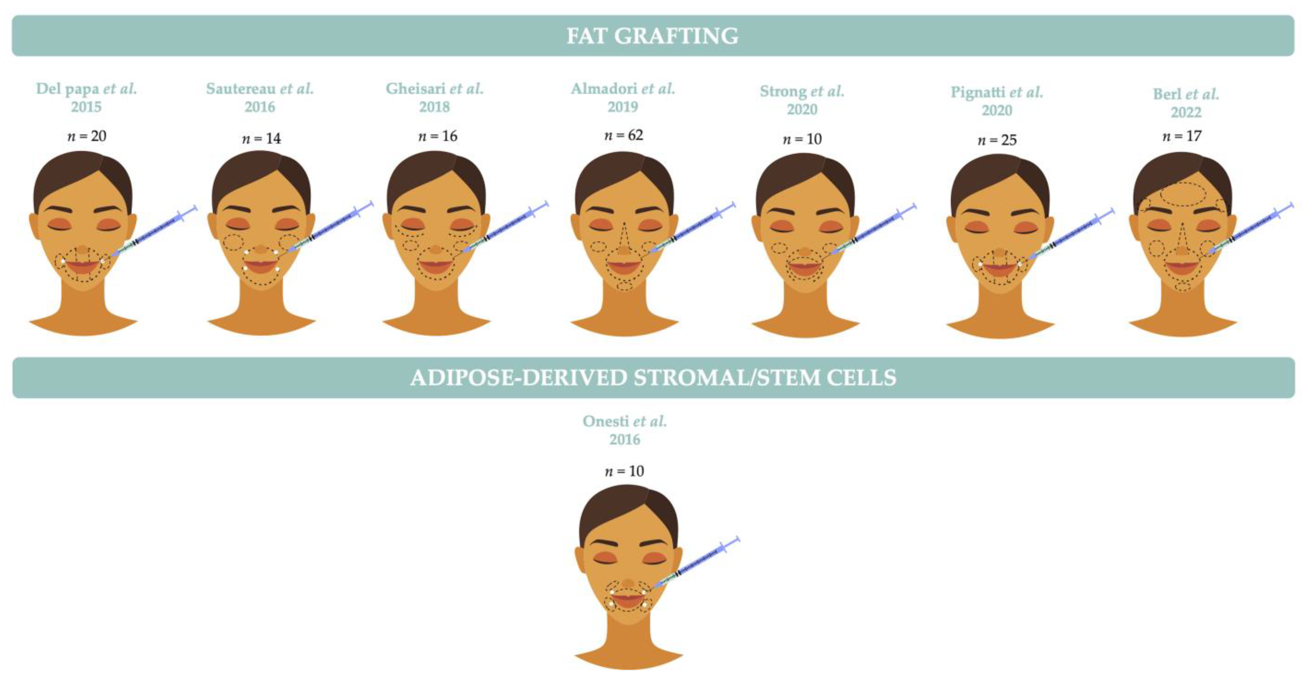 Biomedicines 11 00348 g003