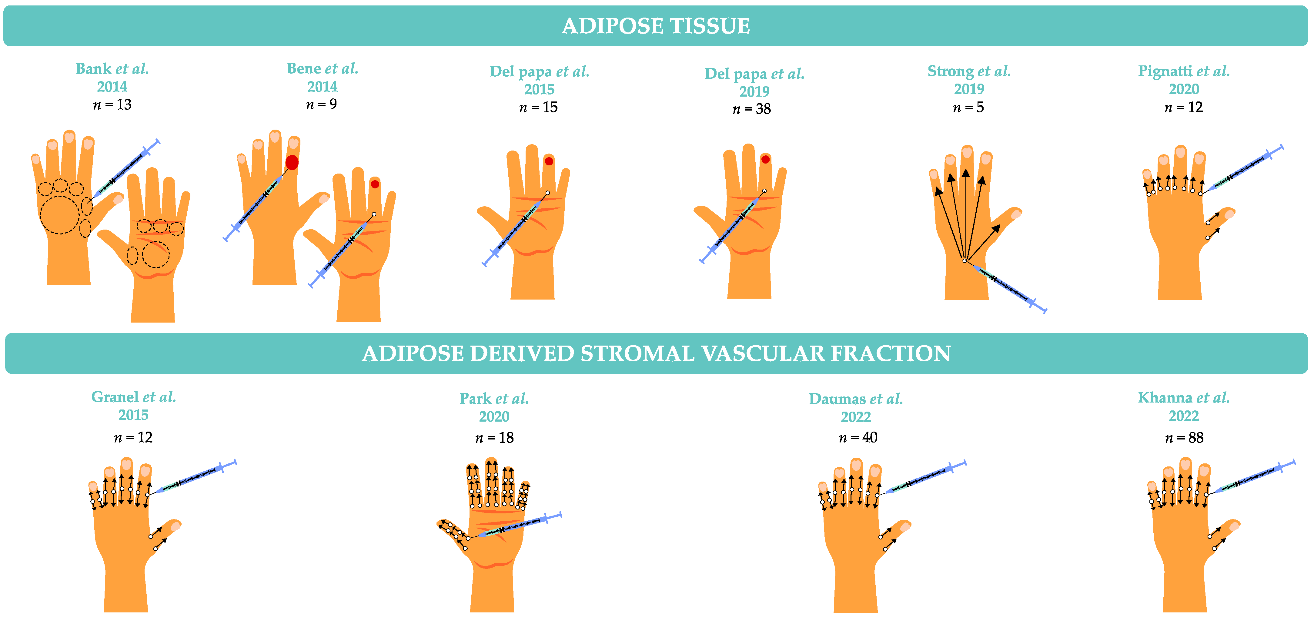 Biomedicines 11 00348 g004