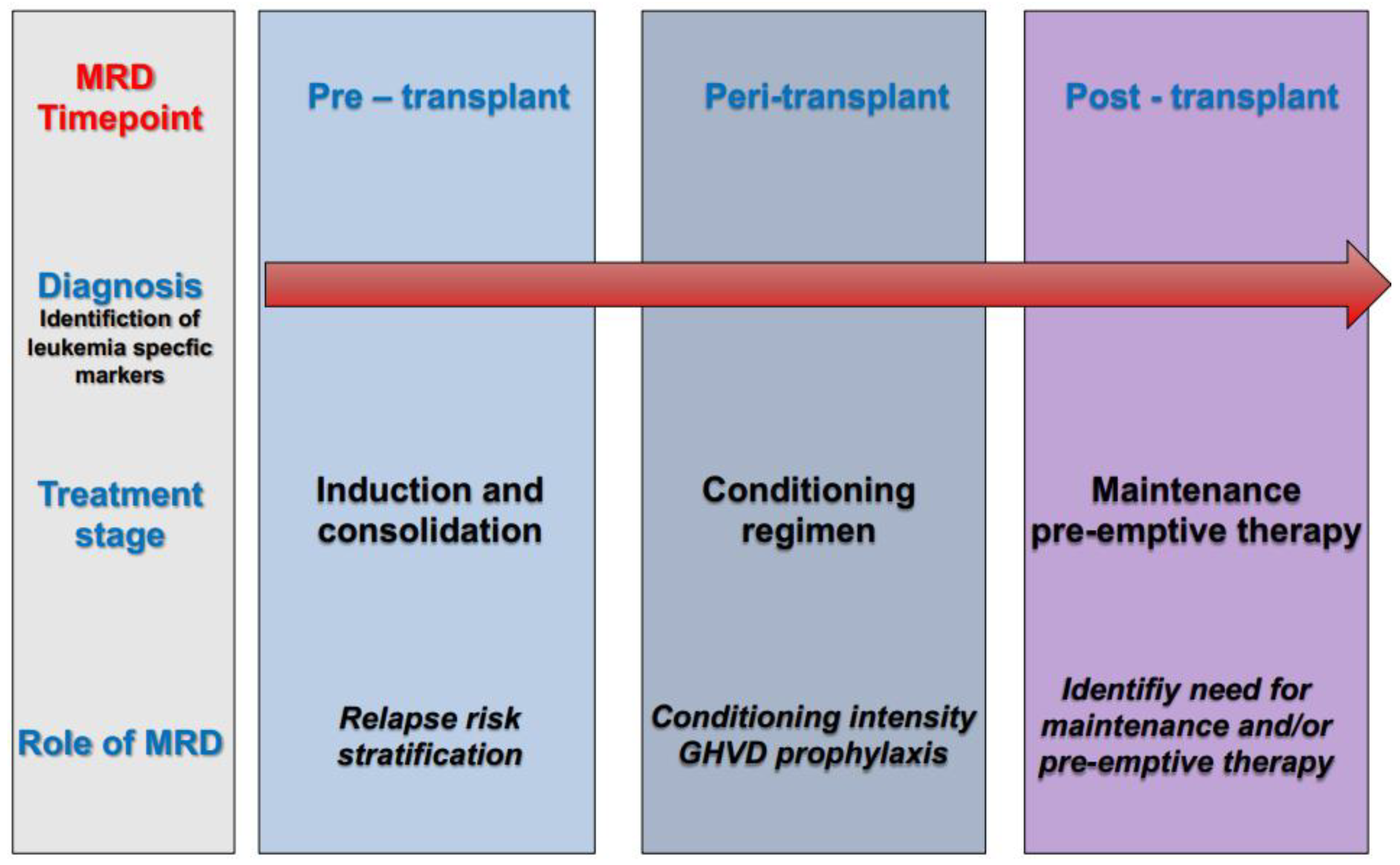 Biomedicines 11 00359 g002