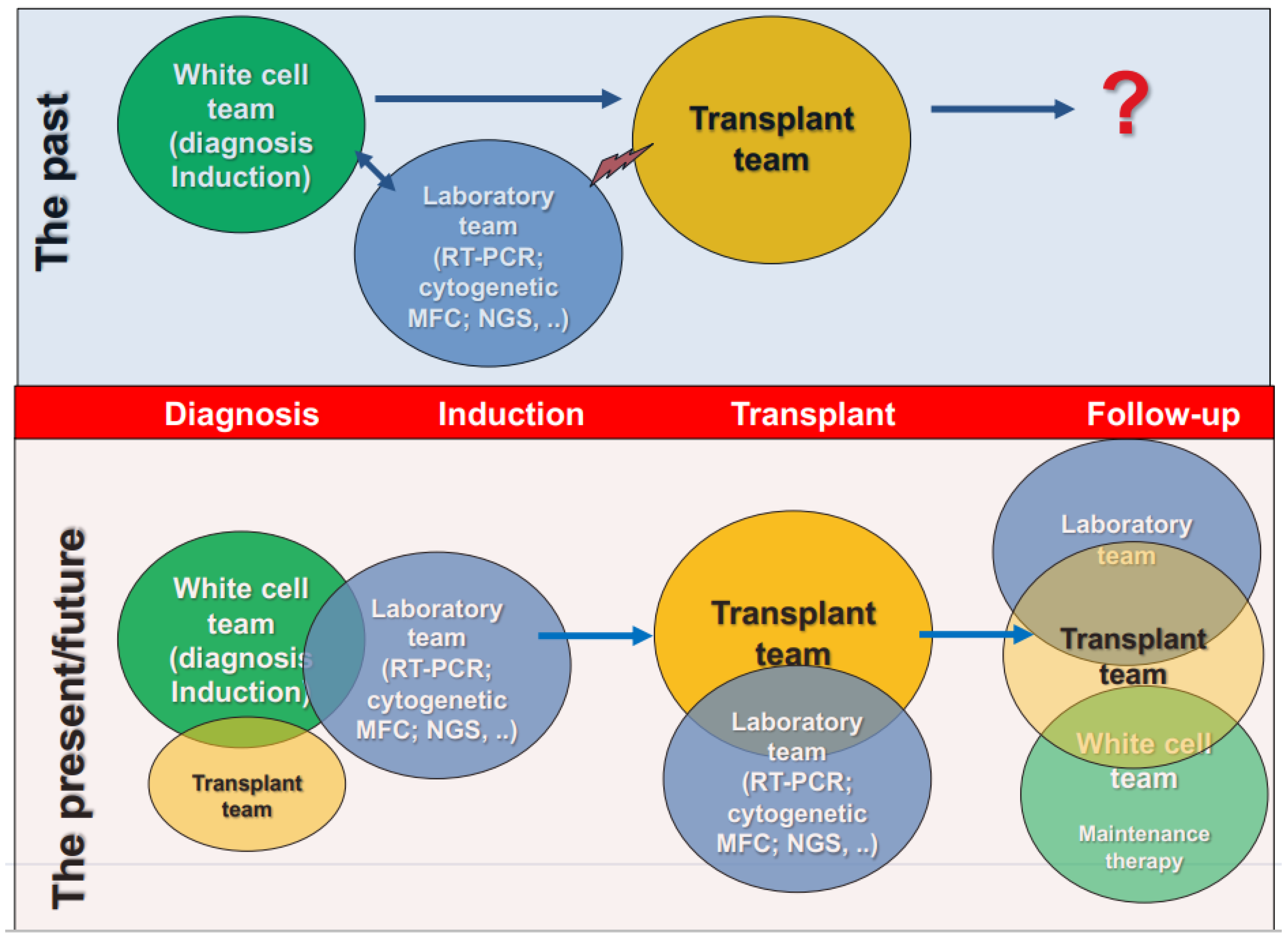 Biomedicines 11 00359 g005