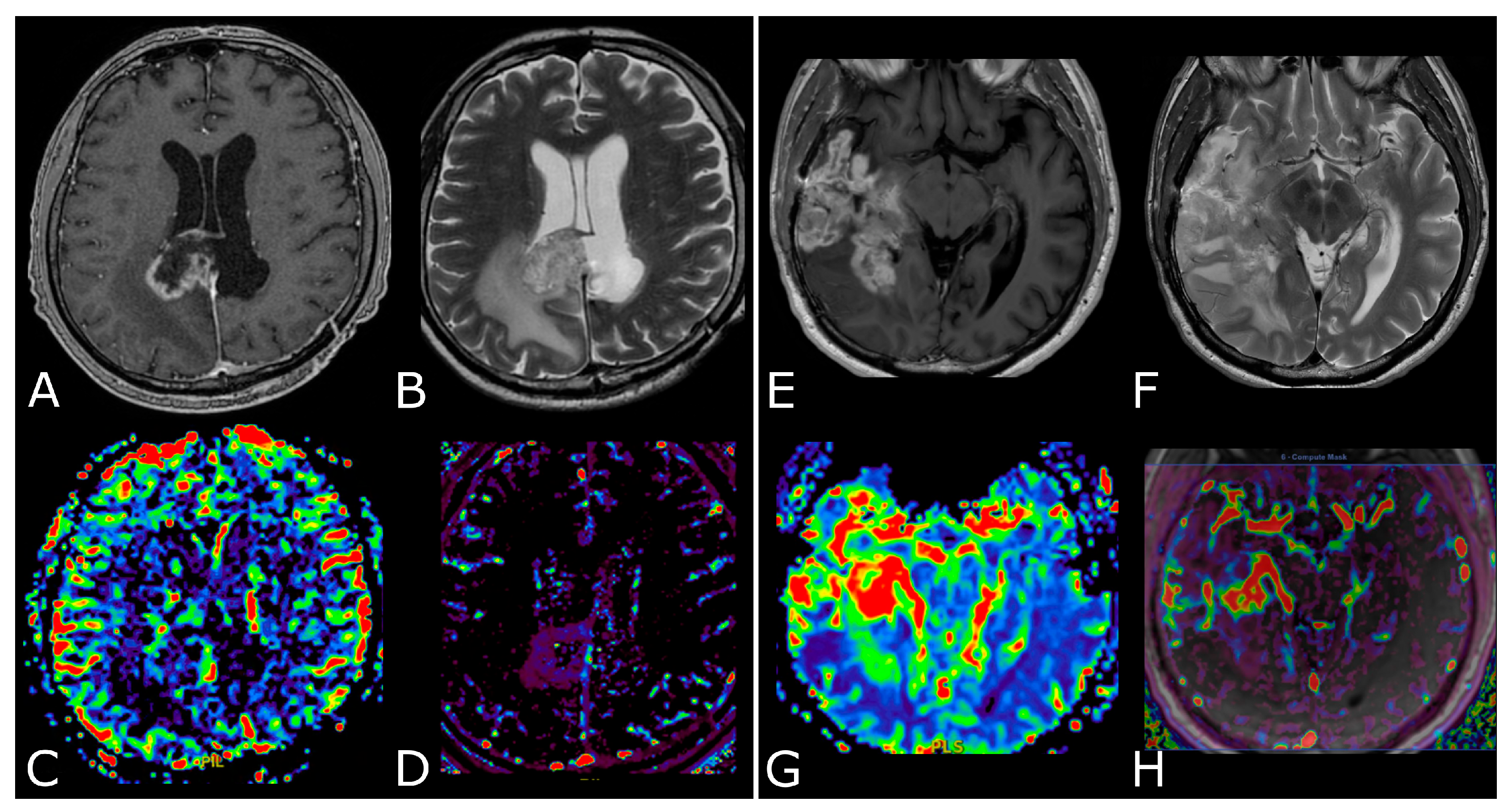Biomedicines 11 00364 g005 Biomedicines 11 00364 g005