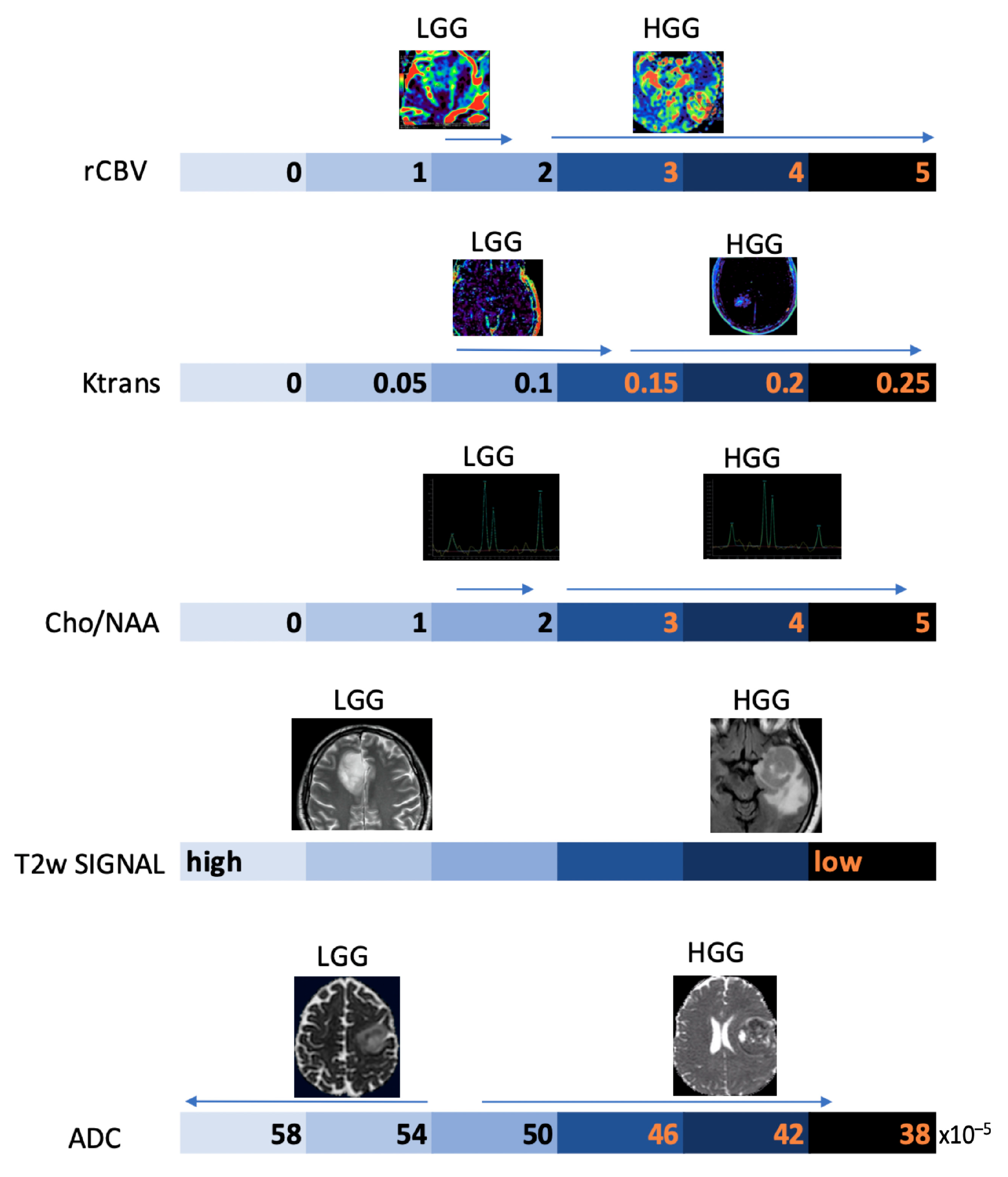 Biomedicines 11 00364 g011 Biomedicines 11 00364 g011