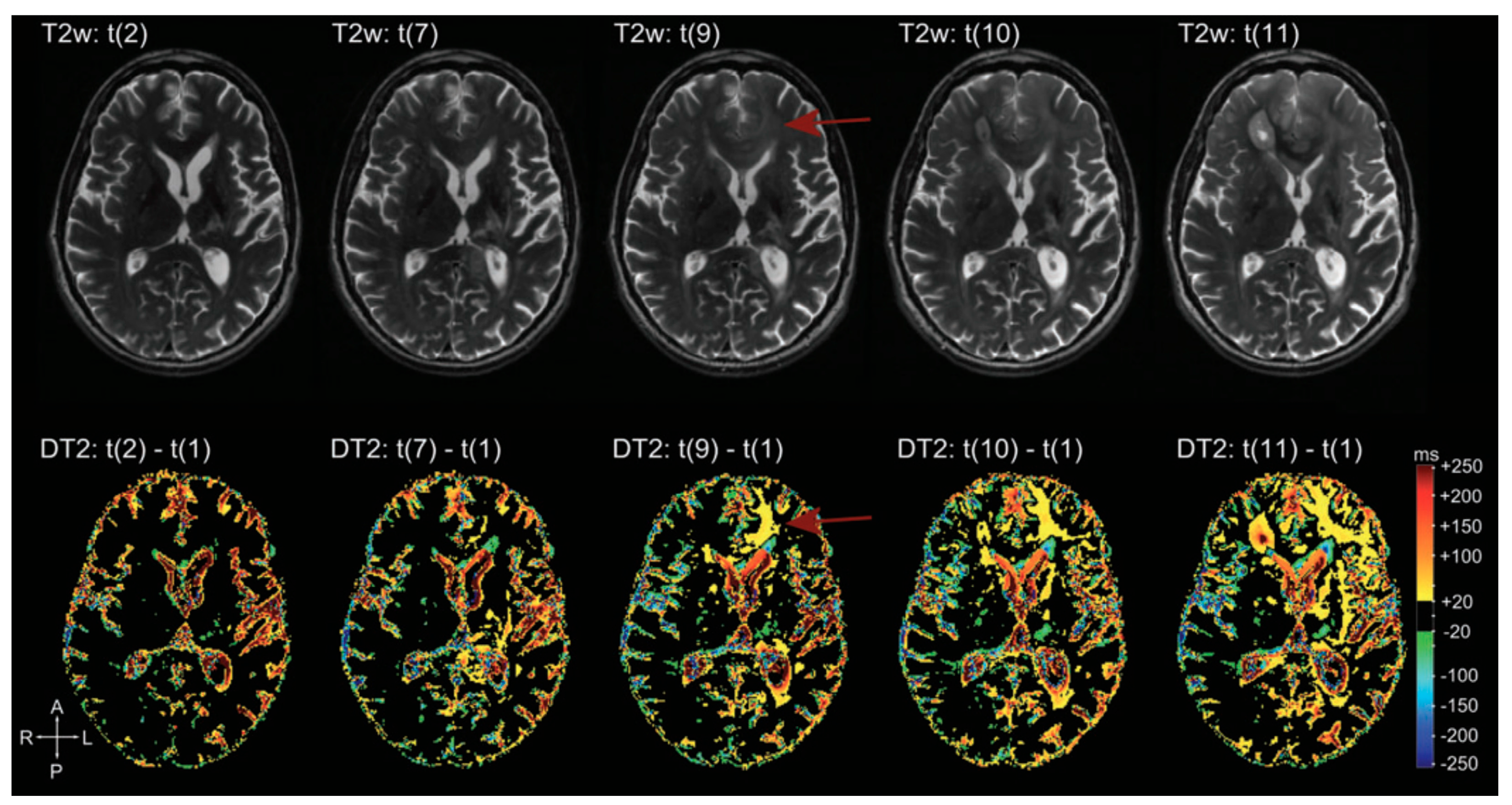 Biomedicines 11 00364 g017 Biomedicines 11 00364 g017