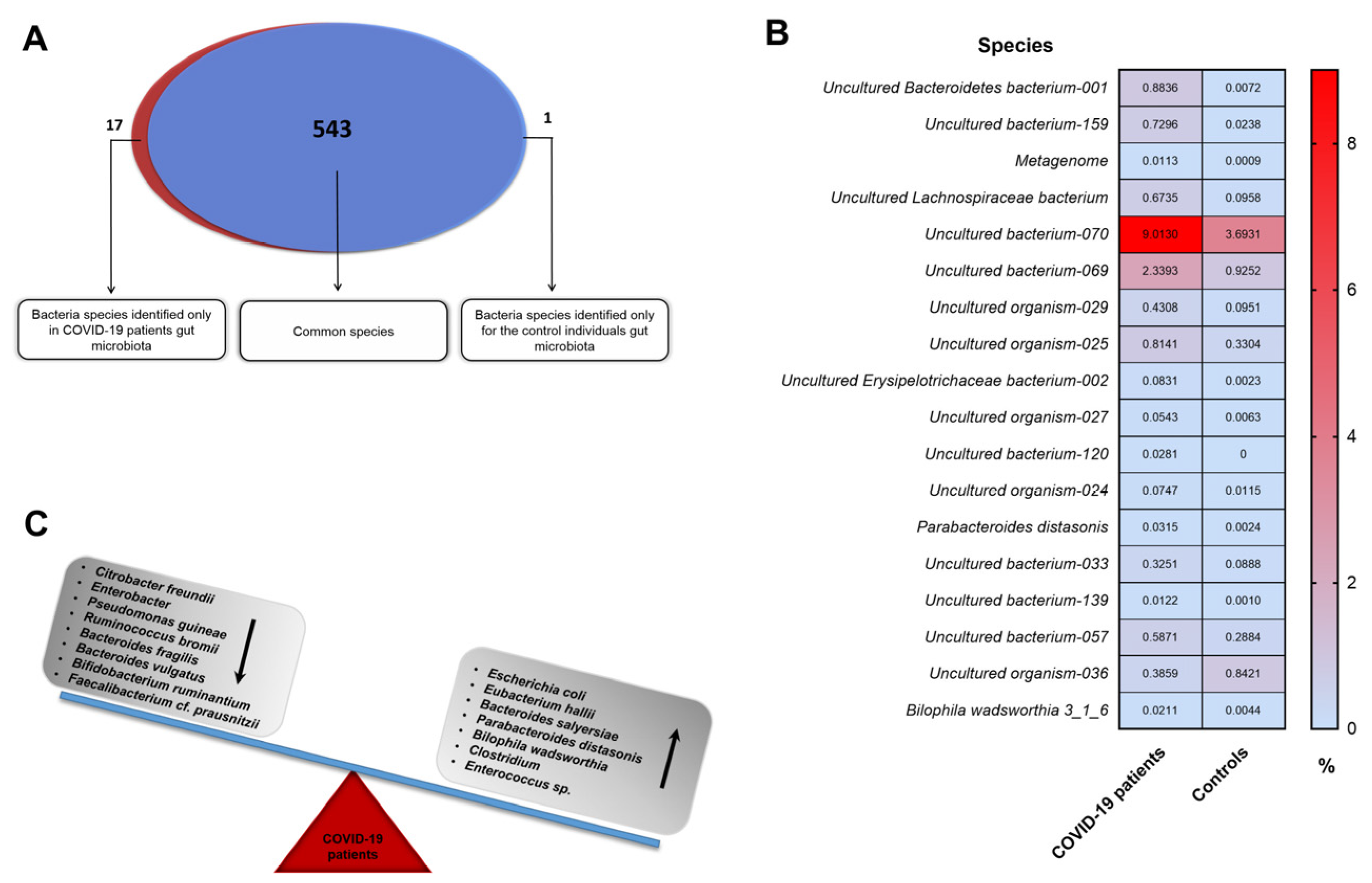 Biomedicines 11 00367 g006